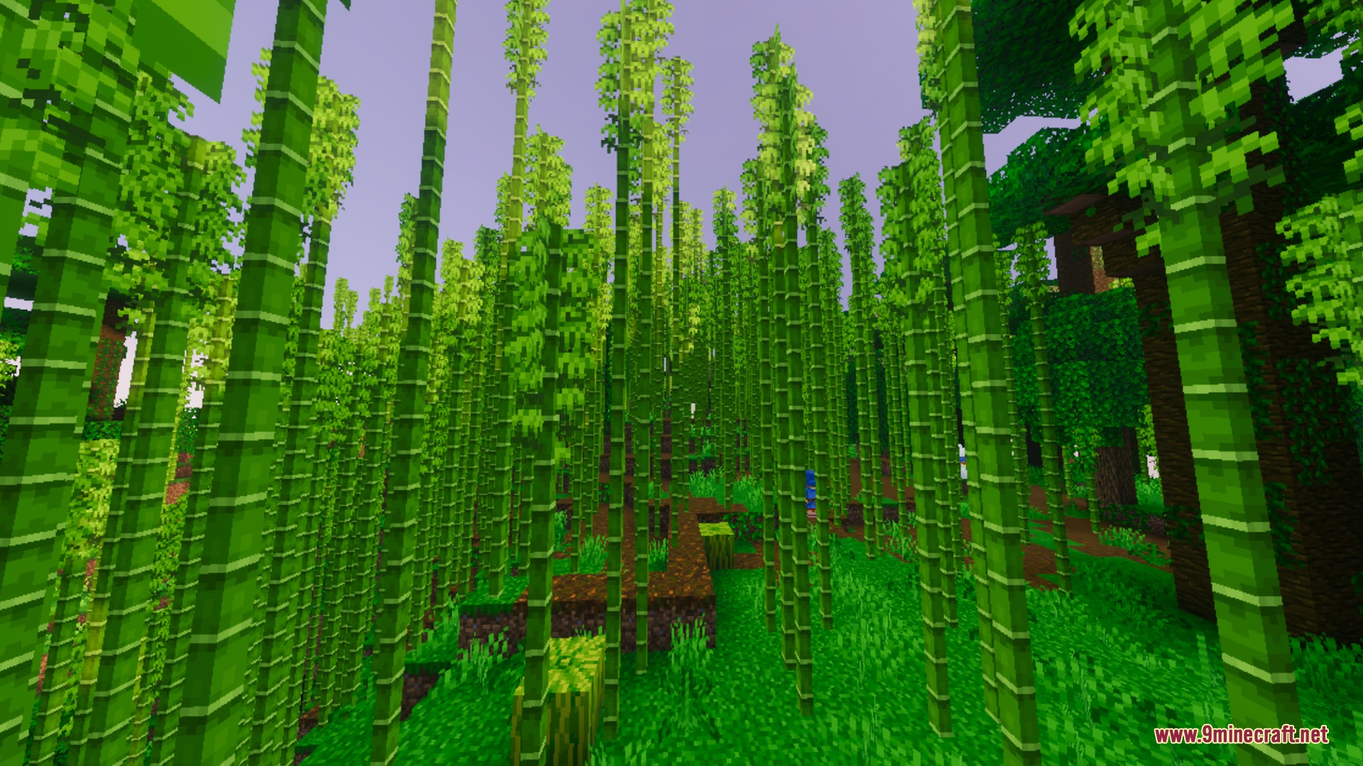 Breeze Visuals Shader Screenshot 9 A dense bamboo forest with tall green stalks under a soft pastel sky