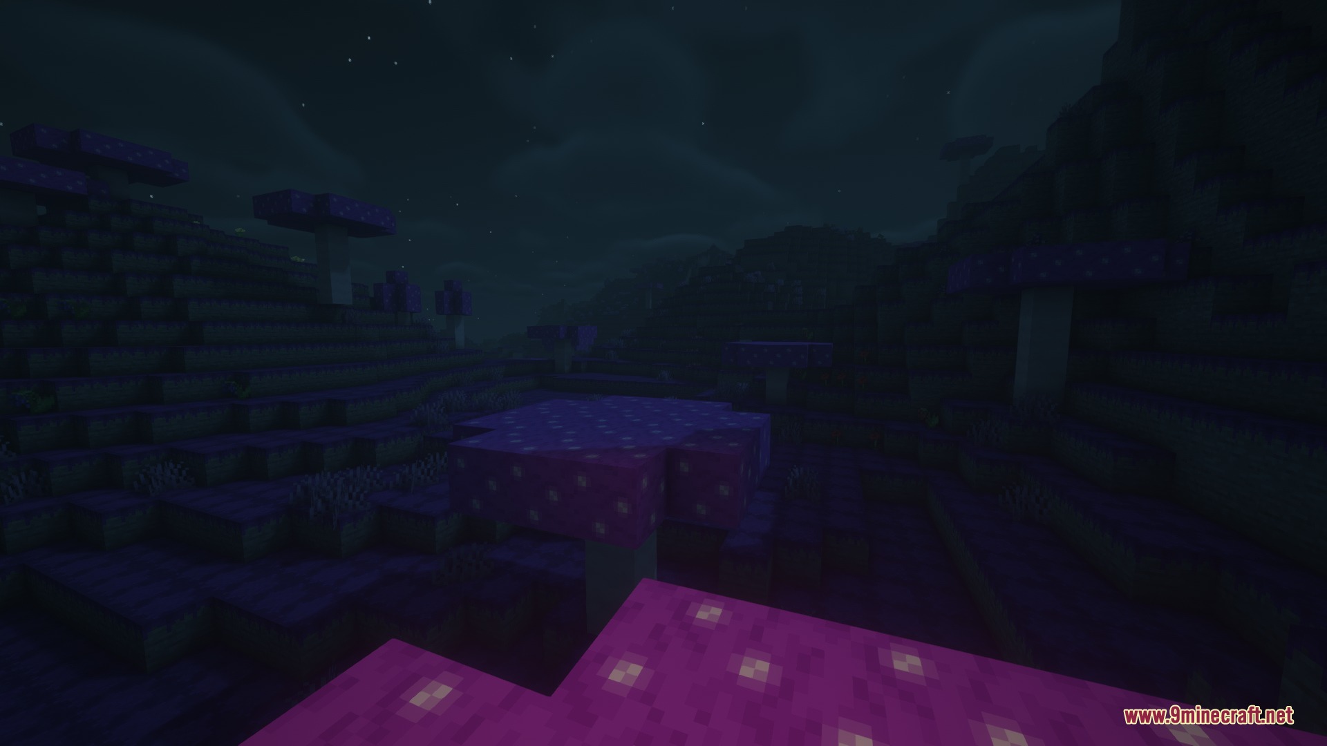 Bricks N' Blocks Mod Screenshot 2 Purple mushroom trees growing in a dark biome under the night sky