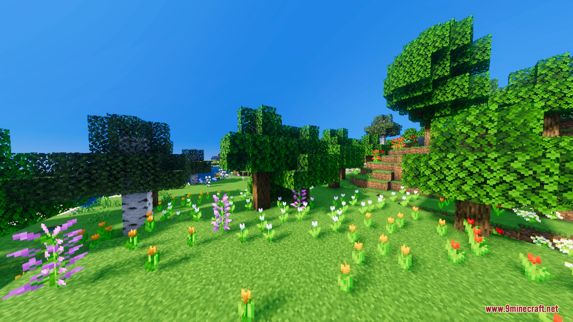 Bsl Vibrant Visuals Shader Screenshot 10 Bright sunny meadow with colorful flowers and lush green trees under blue skies