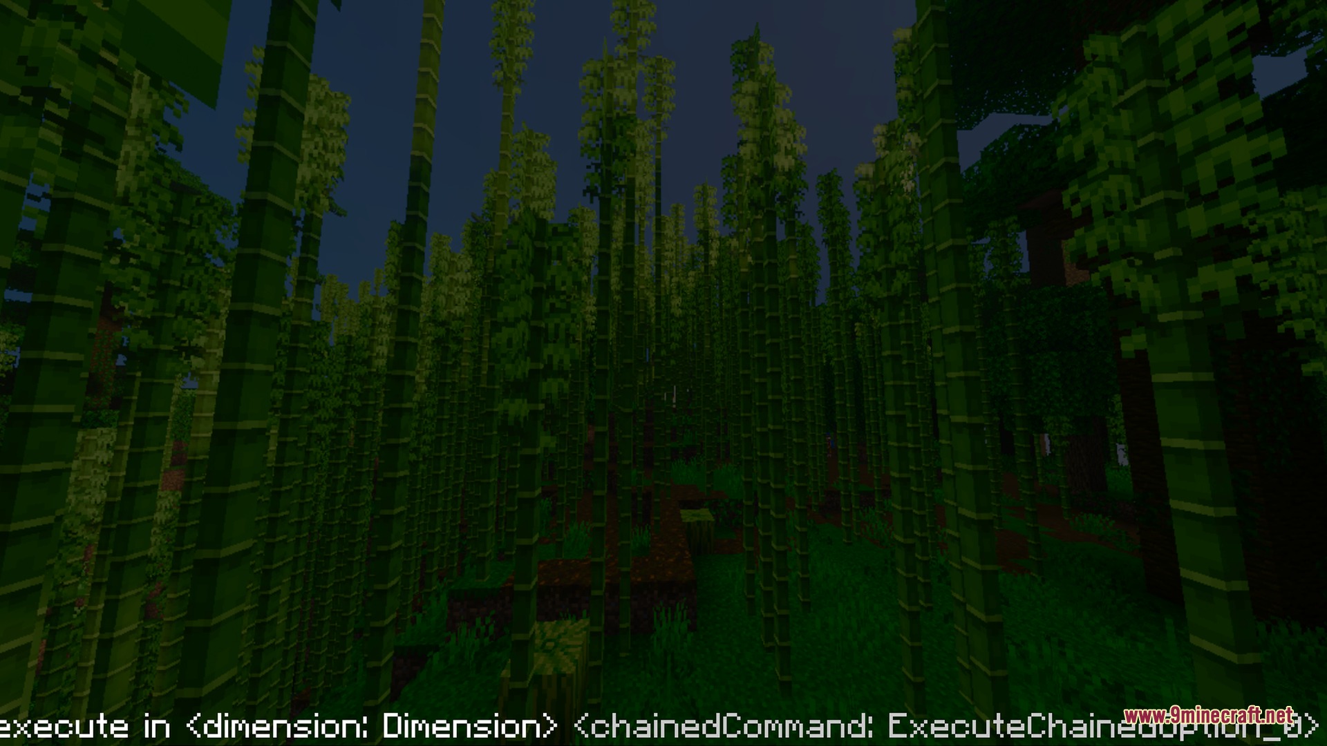 Bsl Vibrant Visuals Shader Screenshot 9 Dense bamboo forest at night with tall green stalks and dark shadows