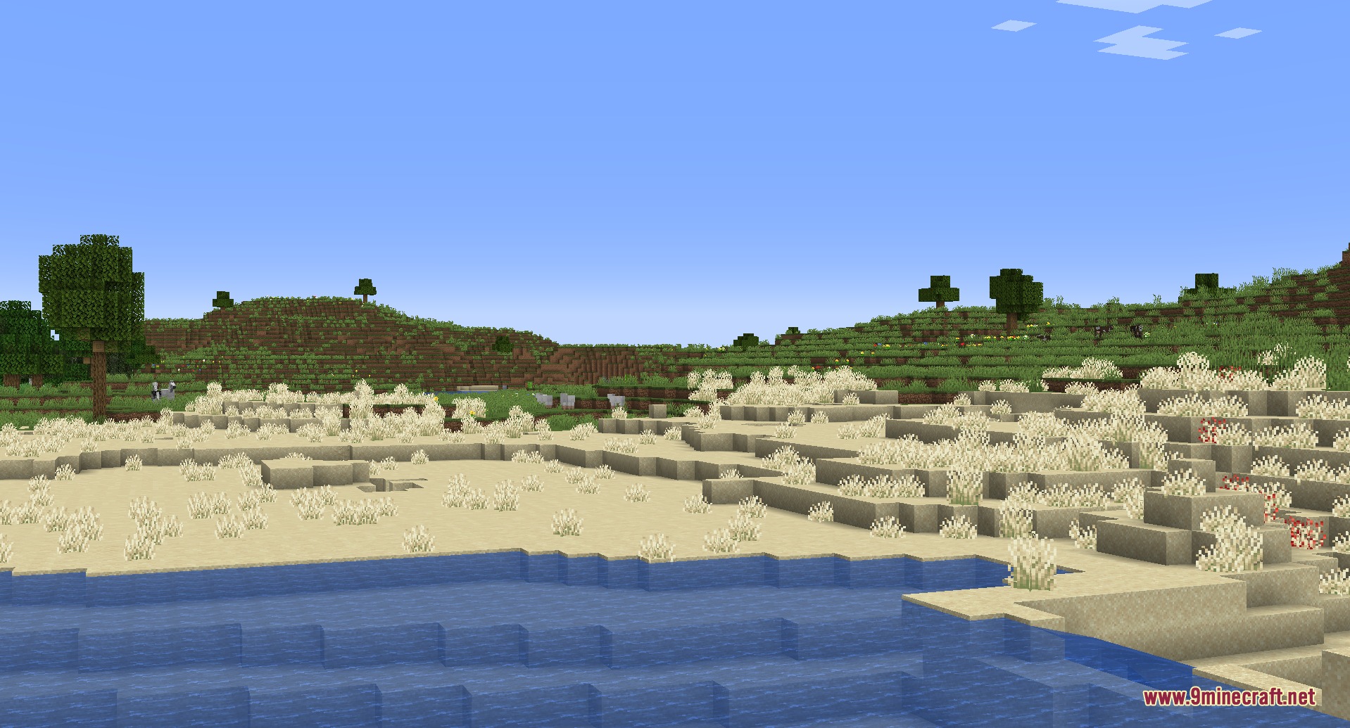 Builds N Barrens Mod Screenshot 3 White choric ferns growing on a sandy beach near a blue ocean