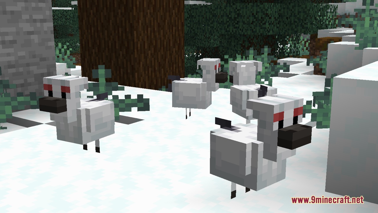 Four white chicken variants with red markings standing in a snowy forest