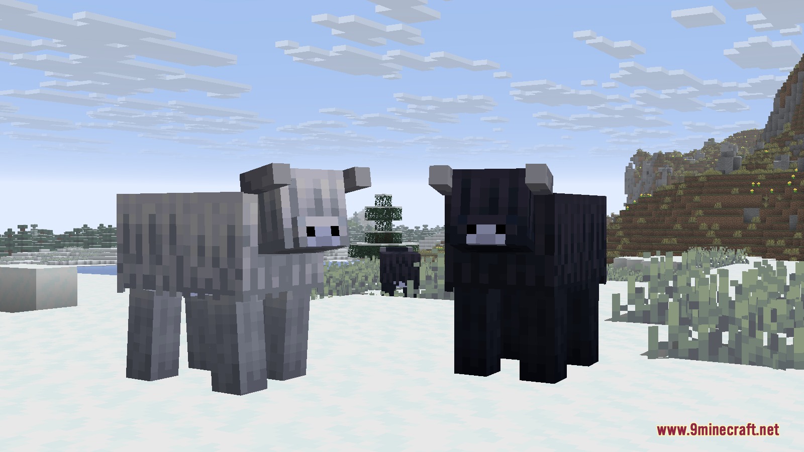 Two fluffy cow variants standing together in a snowy plains biome
