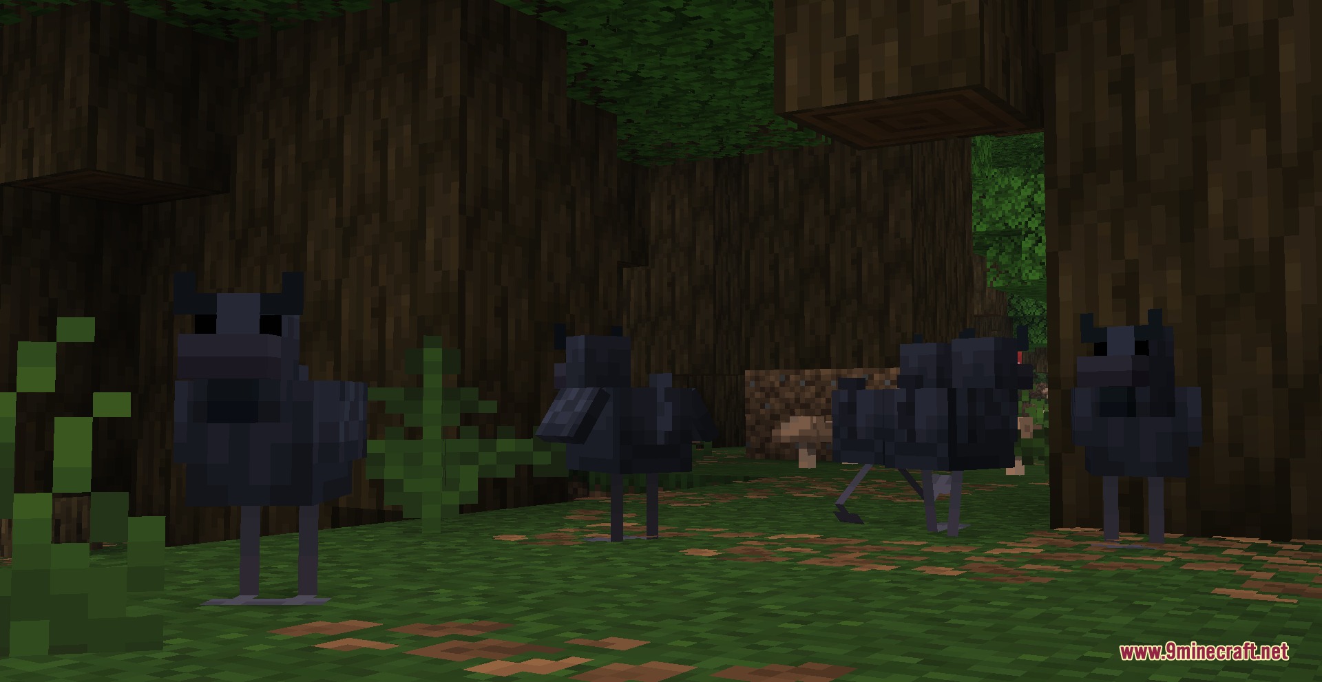 Four dark chickens standing in a shaded dark forest area in Minecraft