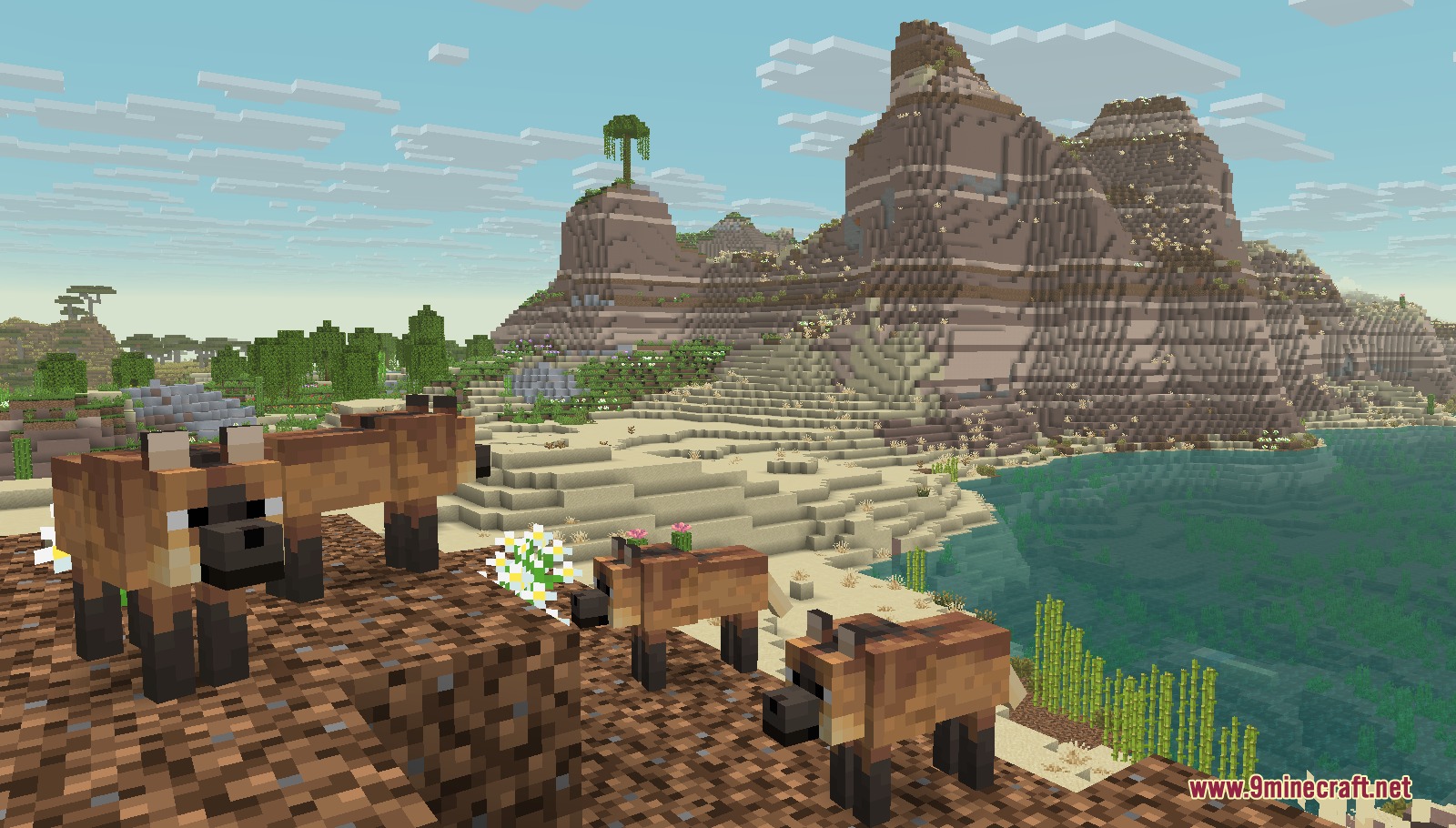 Four brown wolf variants standing on a cliff overlooking a badlands biome