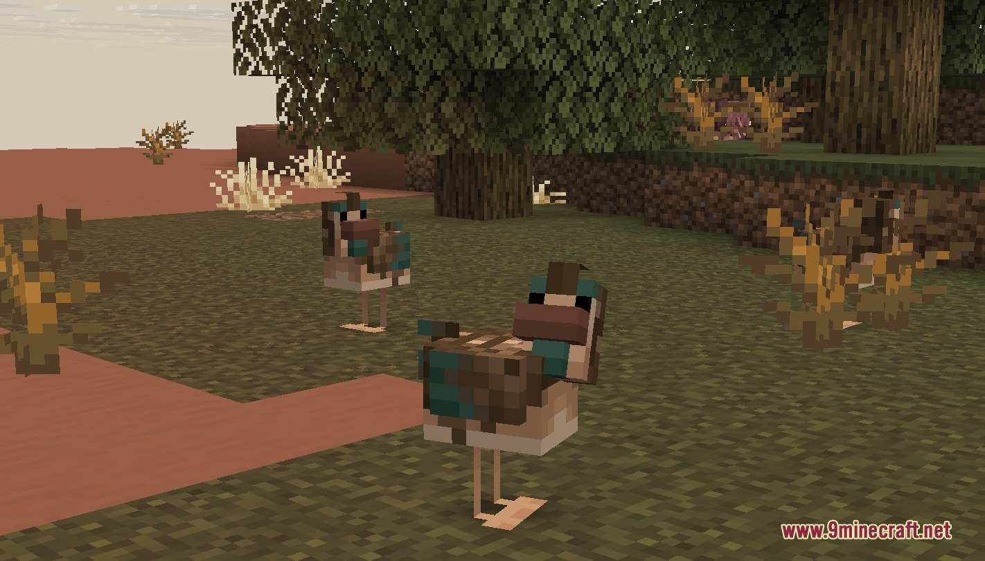 Two brown and teal chicken variants standing in a wooded badlands area