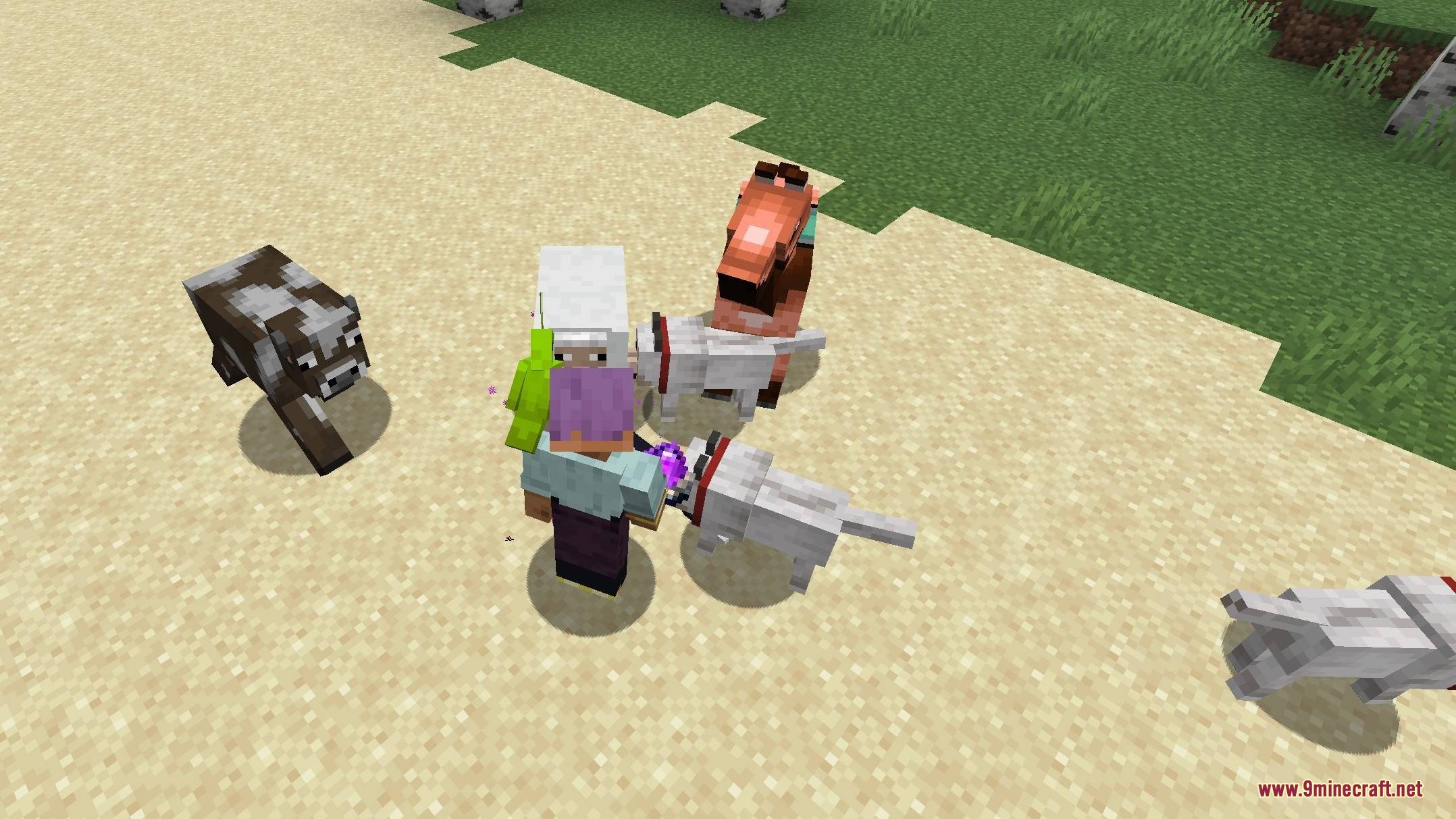 Call of Companions Mod Screenshot 1 A player uses a magical crystal to gather tamed animals on a sandy beach