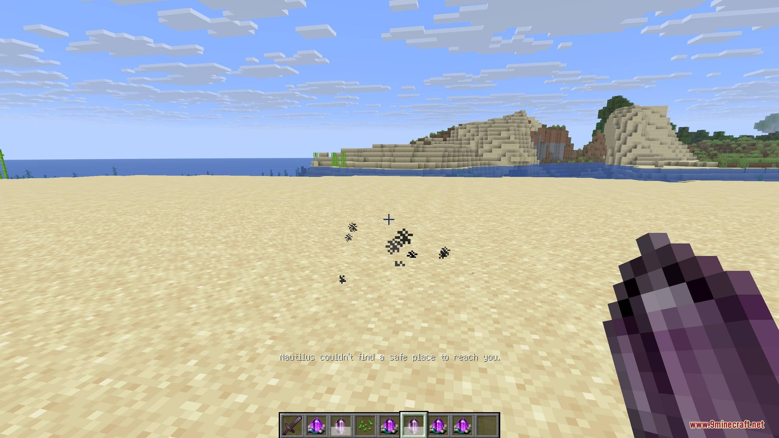 Call of Companions Mod Screenshot 4 A message appears when a pet cannot find a safe place to teleport