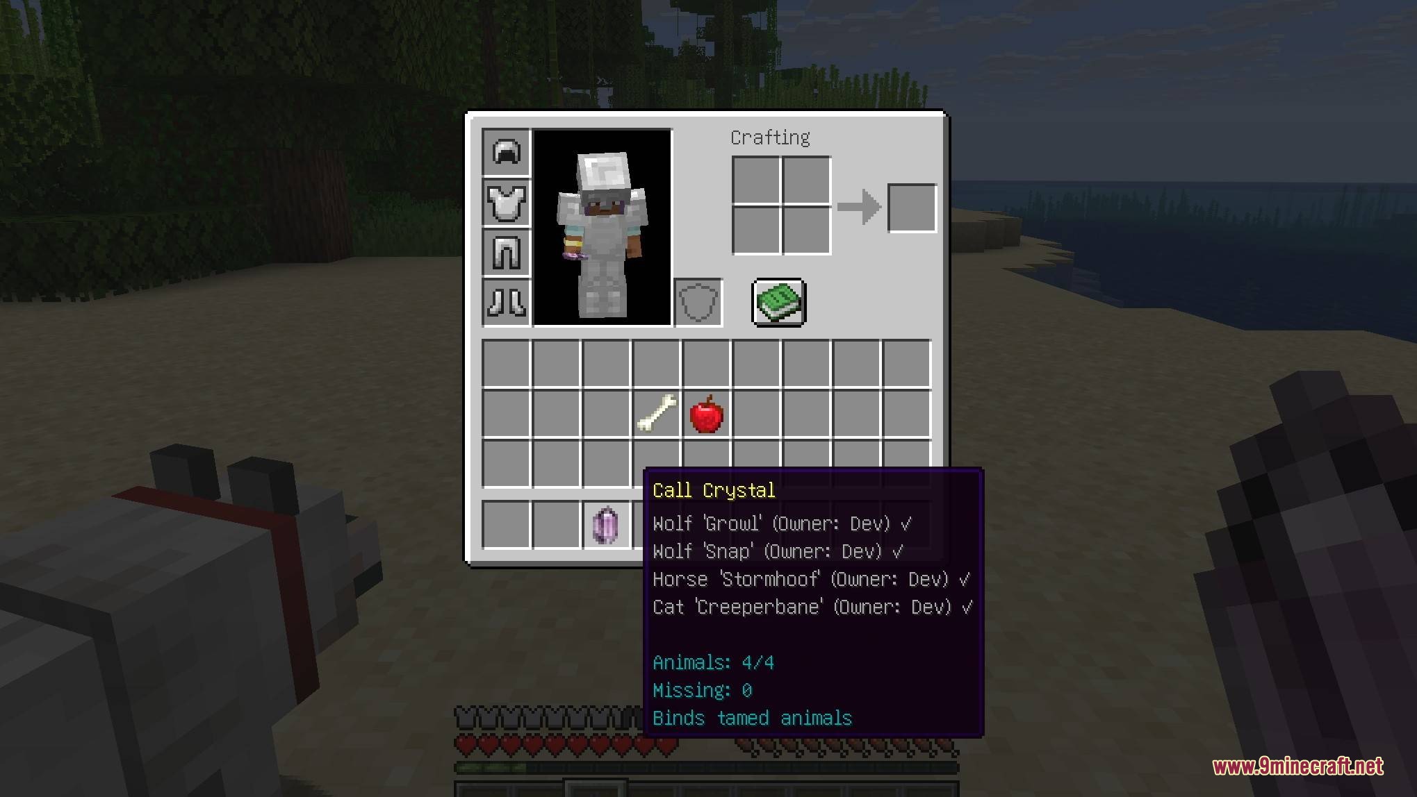 Call of Companions Mod Screenshot 7 Call of Companions Mod inventory showing a Call Crystal with bound pets