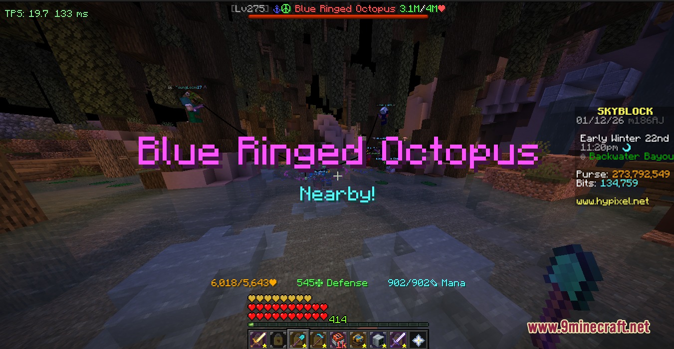 Caribou Stonks Hypixel Sky Block Mod Screenshot 2 Player fighting a Blue Ringed Octopus sea creature in a swamp biome