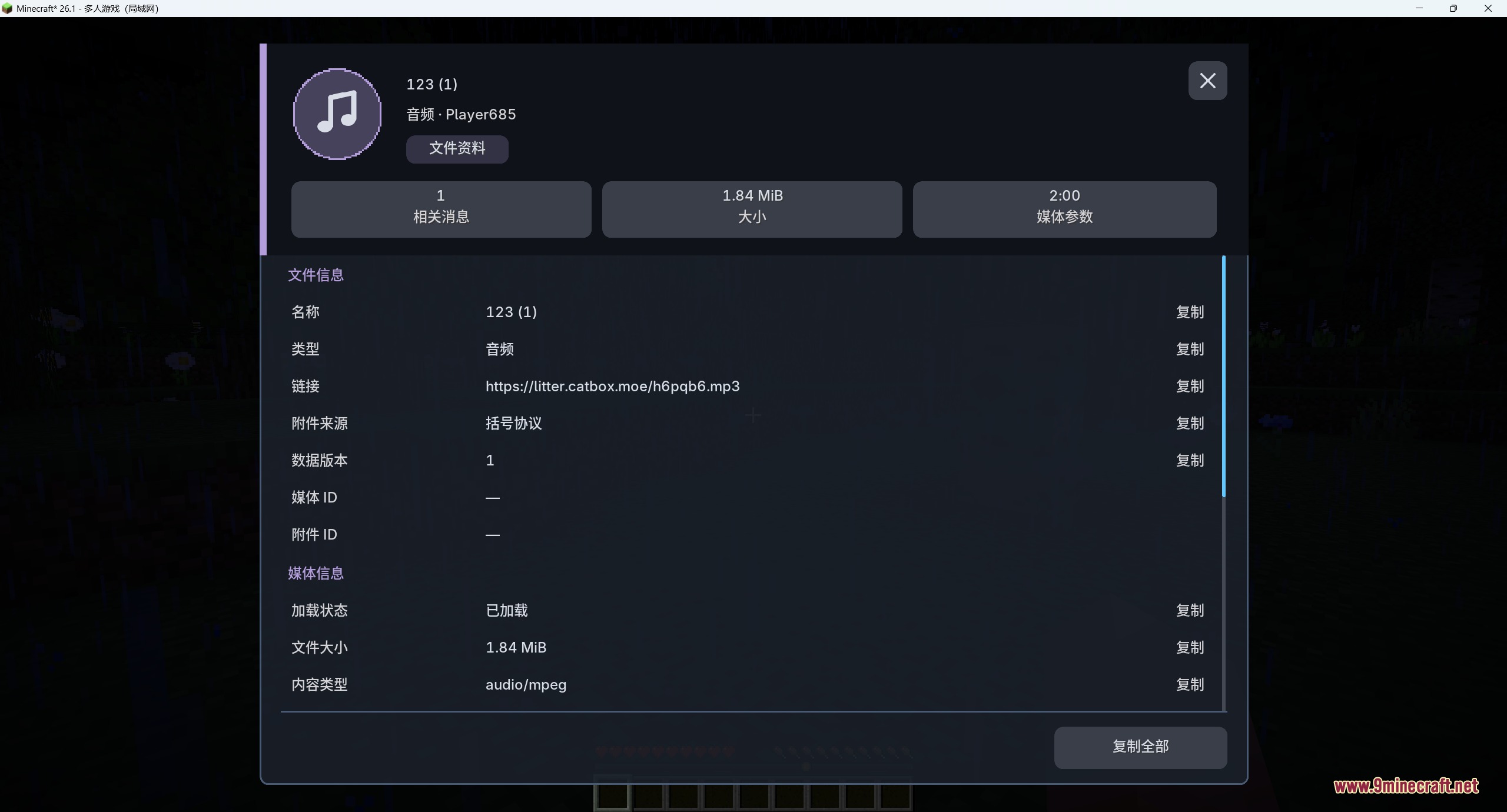 A detailed menu displaying metadata and technical information for an audio file