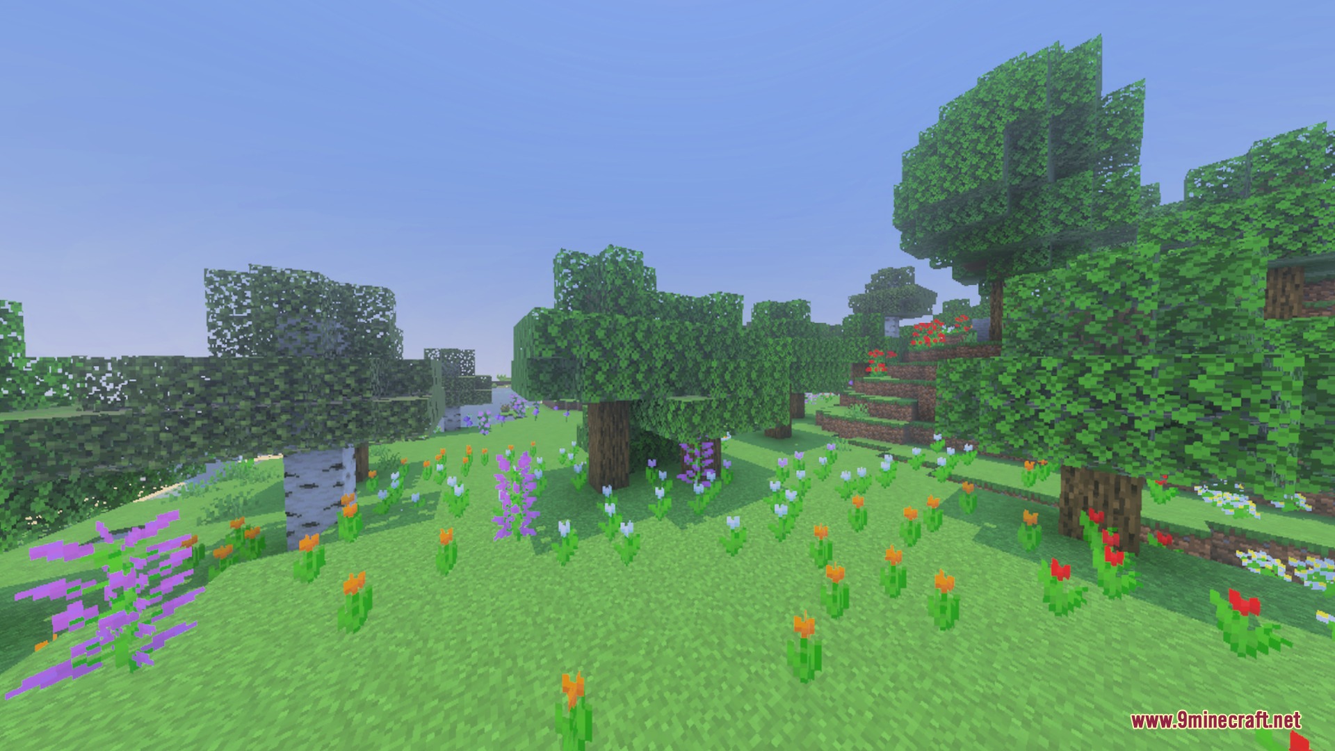 Cinematic Fog Shader Screenshot 9 Colorful flowers bloom in a lush forest under a soft atmospheric mist