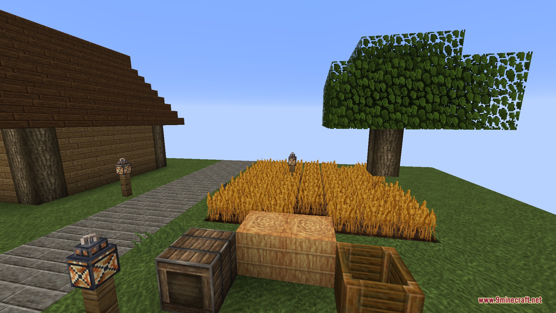 A golden wheat field next to a tree and wooden storage blocks