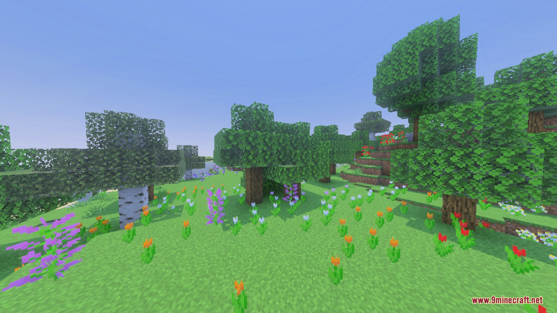 Clear Sight Shader Screenshot 10 Lush green meadow filled with colorful flowers and various types of trees
