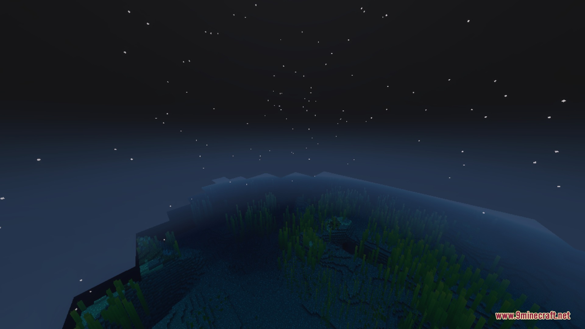 Clear Sight Shader Screenshot 4 Looking through clear water at seagrass and kelp during the night