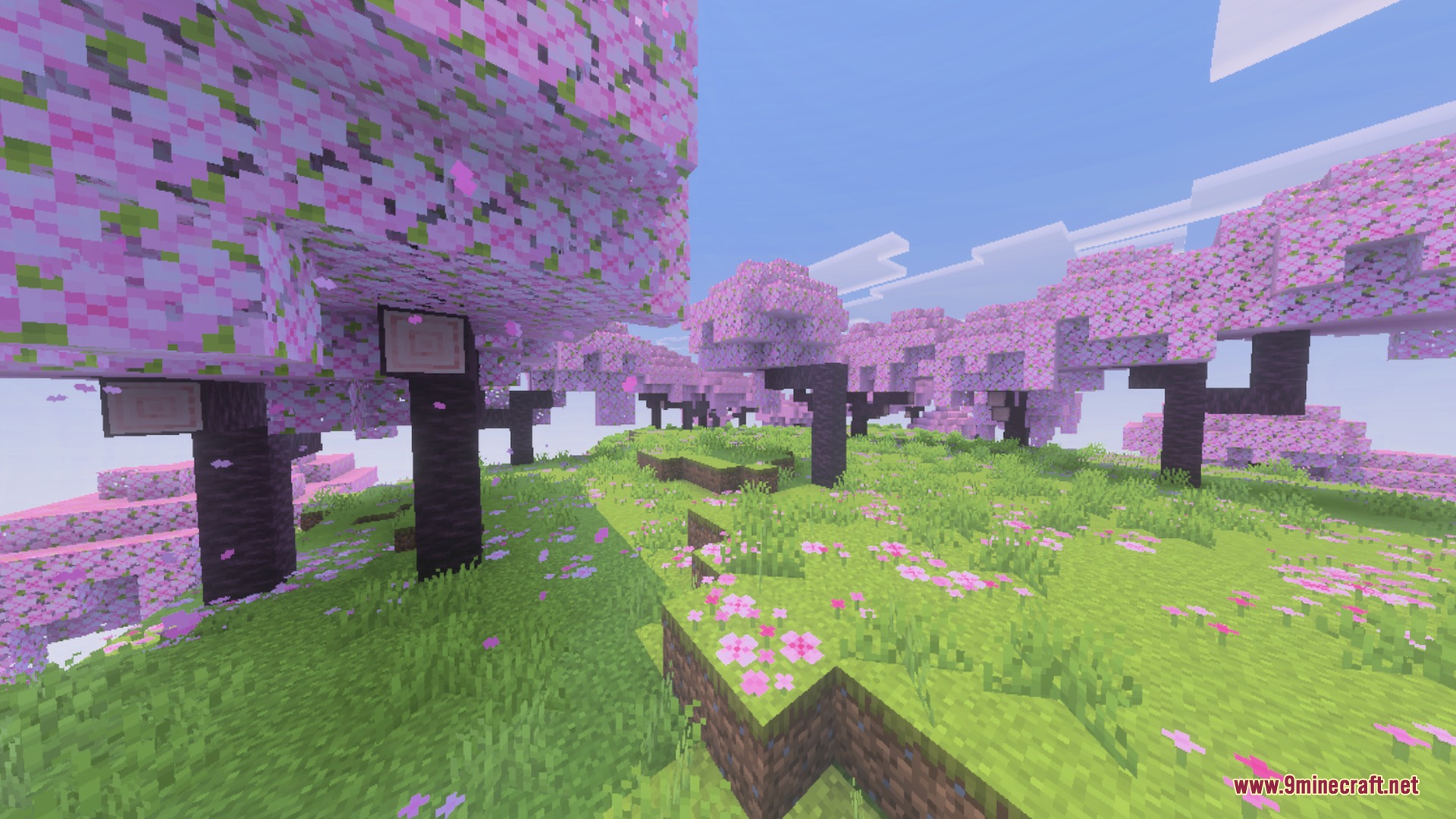 Clear Sight Shader Screenshot 6 Peaceful cherry grove biome featuring pink trees and flower petals on the grass