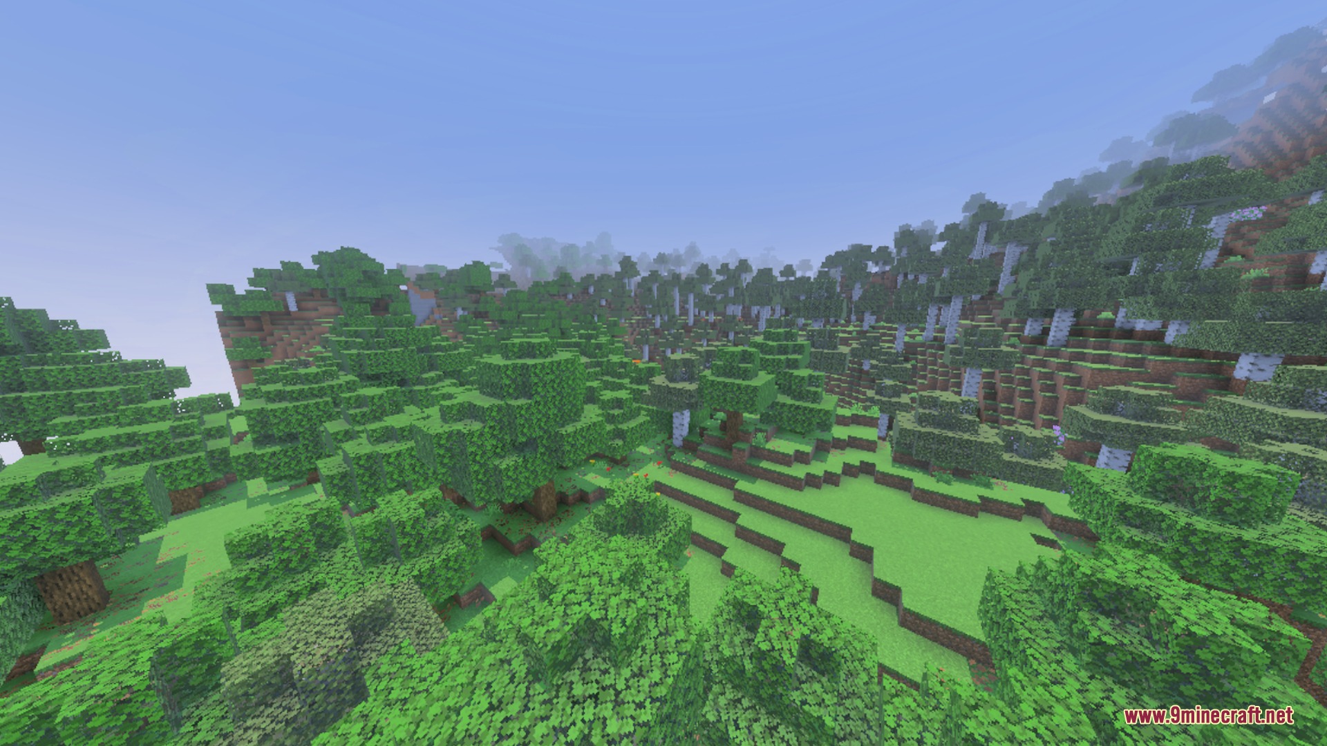Clear Sight Shader Screenshot 7 A vast green forest biome with oak and birch trees under clear skies