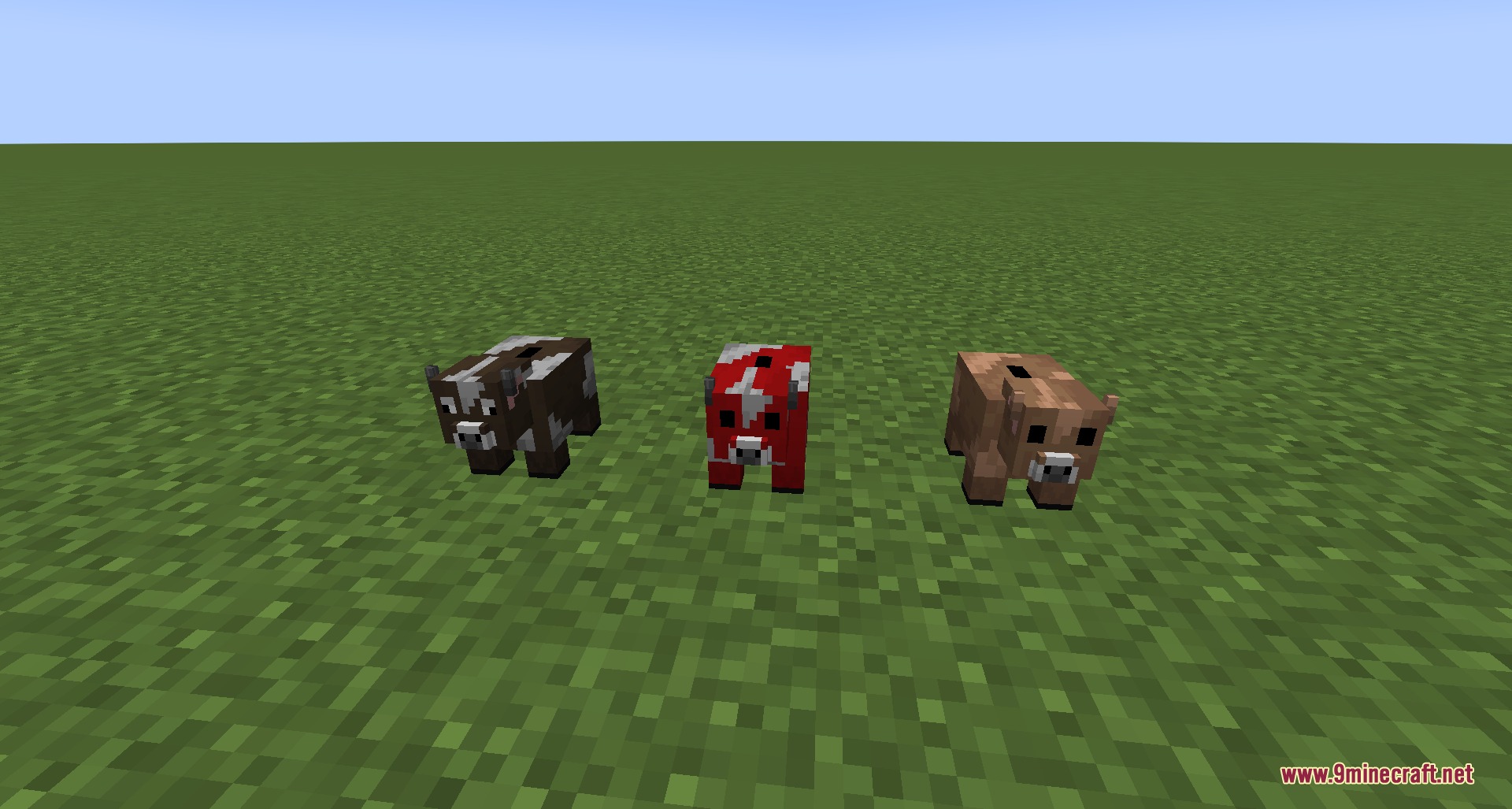 Three different cow and mooshroom coin banks sitting on a grassy field