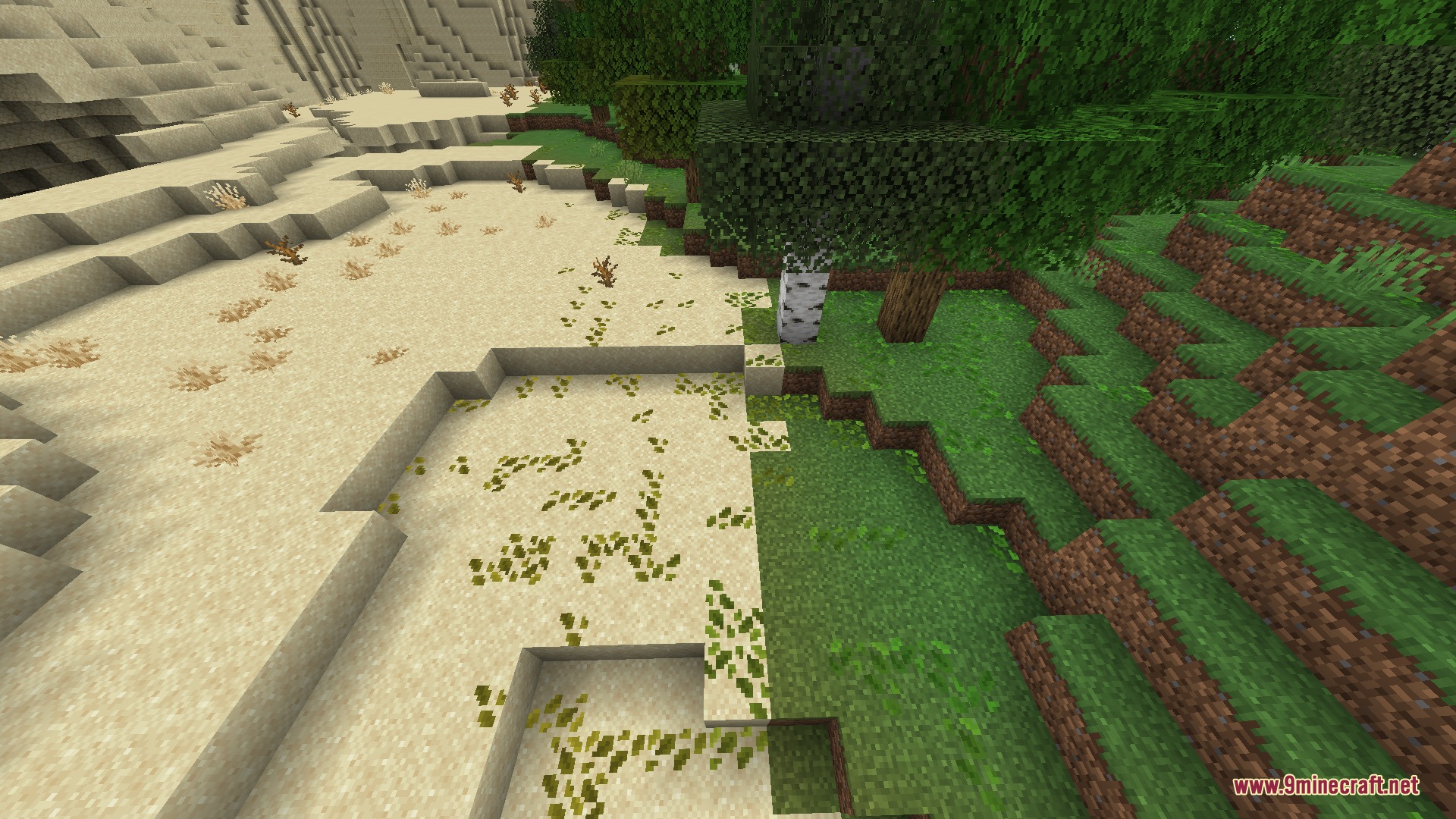 Colored Leaf Litter Resource Pack Screenshot 1 Leaf litter particles scattered across sand and grass blocks in different biomes