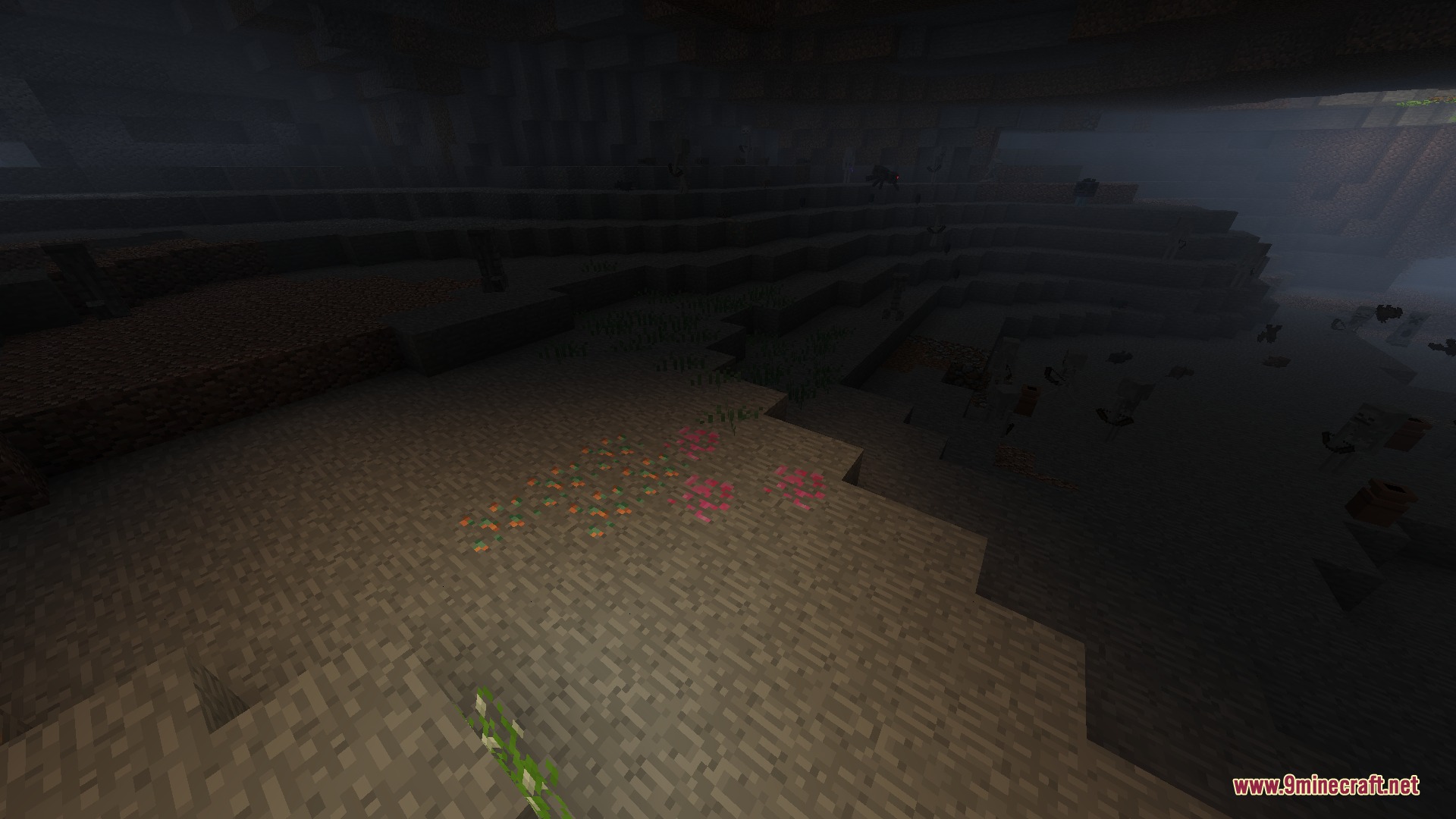 Dark underground cave with foggy atmosphere and small glowing plants on the ground