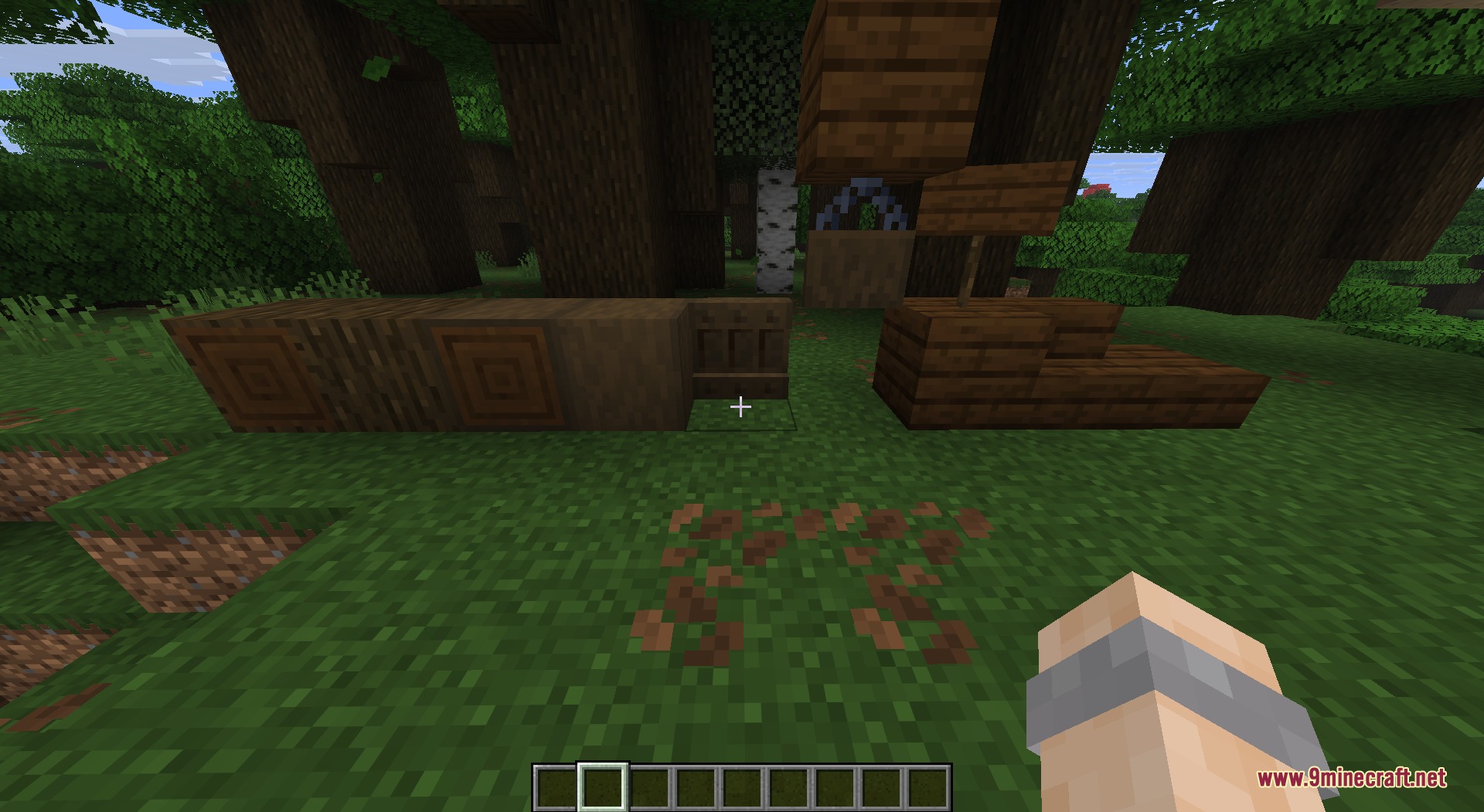 Consistent Dark Oak Resource Pack Screenshot 1 A player views various dark oak wood blocks in a forest biome