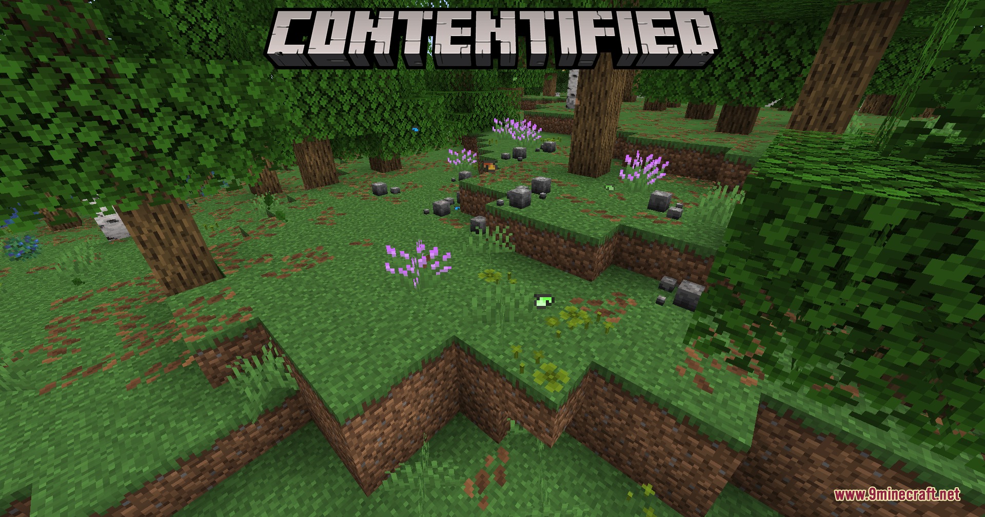 Contentified Mod Screenshot 1 Contentified mod adds new purple flowers and small rocks to the forest