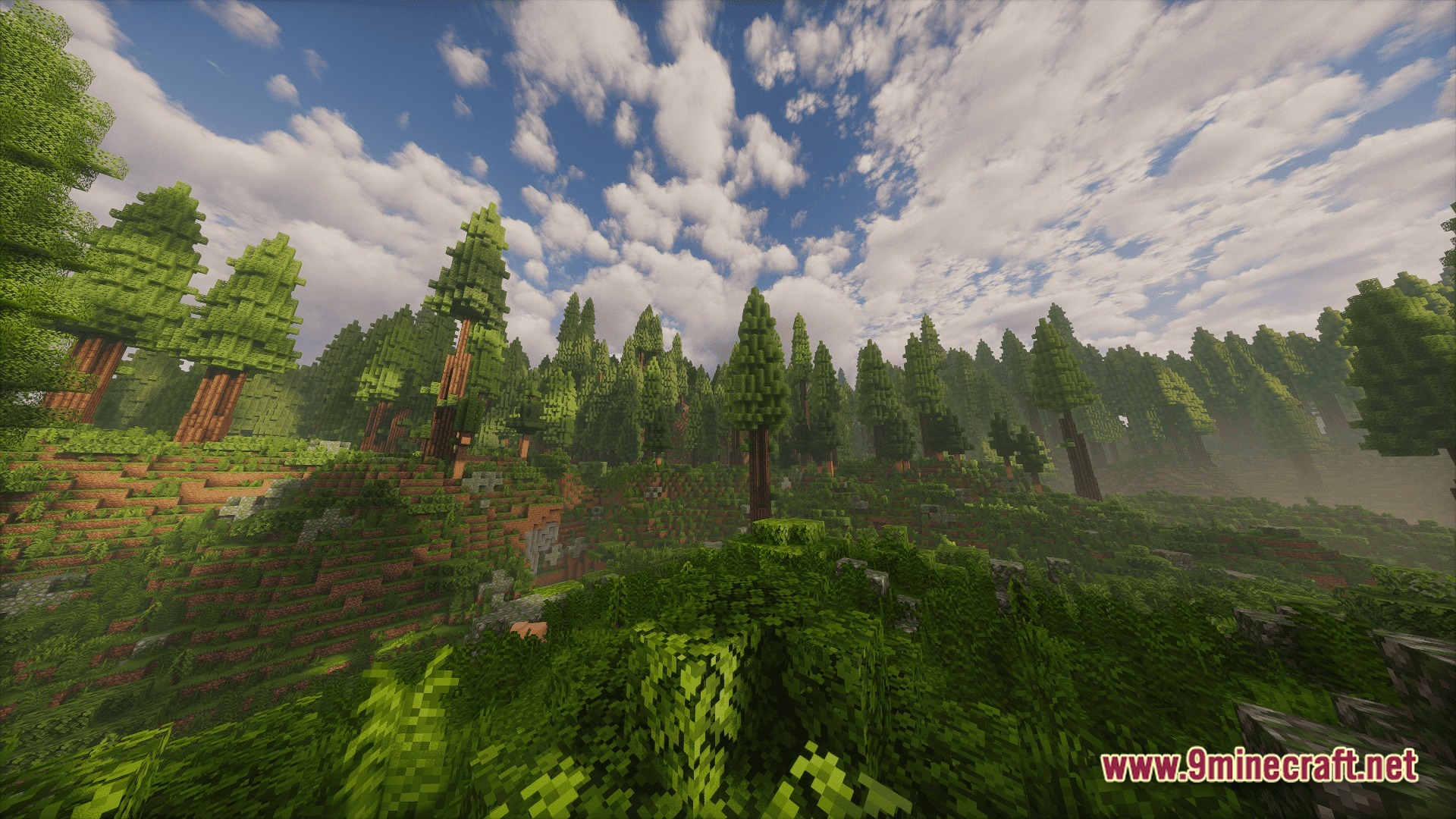 Create Above The Horizon Modpack Screenshot 9 A dense coniferous forest biome with tall redwood trees under a bright, cloudy sky