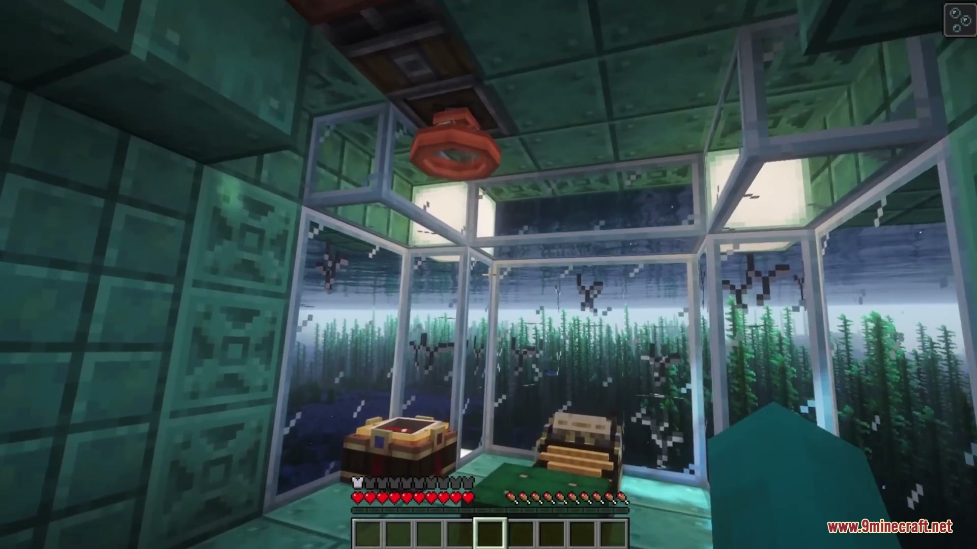 Create Deep Seas Mod Screenshot 4 Looking through glass windows of a submarine at kelp in the ocean