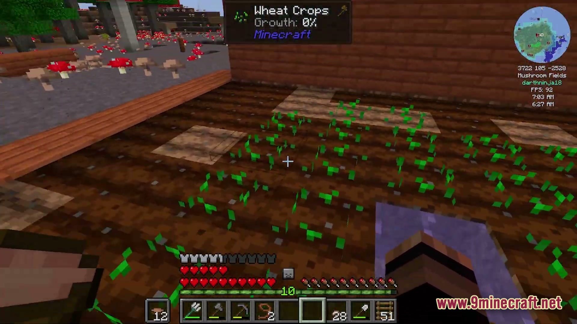 Create Forge Frontier Modpack Screenshot 4 A player stands before a field of newly planted wheat crops in a mushroom biome