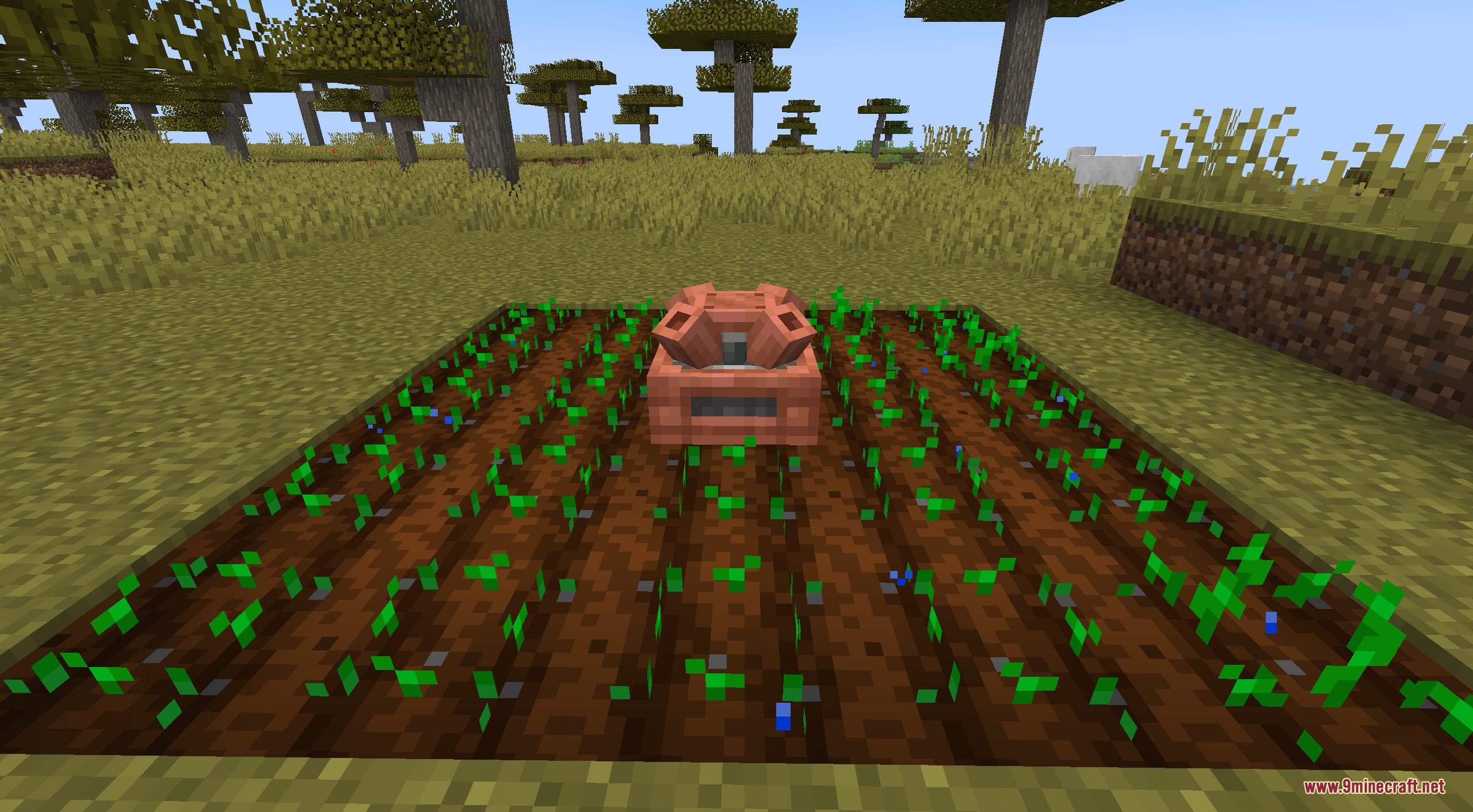 Create Solarpunk Mod Screenshot 3 A kinetic sprinkler watering a field of crops in a savanna biome