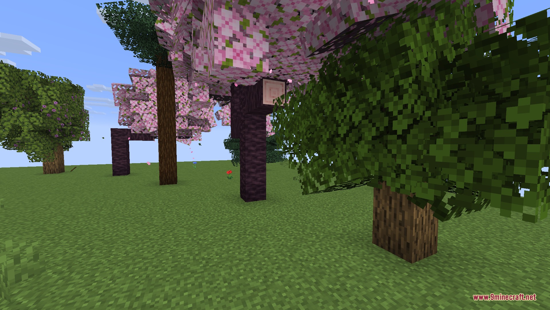 Close up view of thick cubic leaf blocks on various Minecraft trees