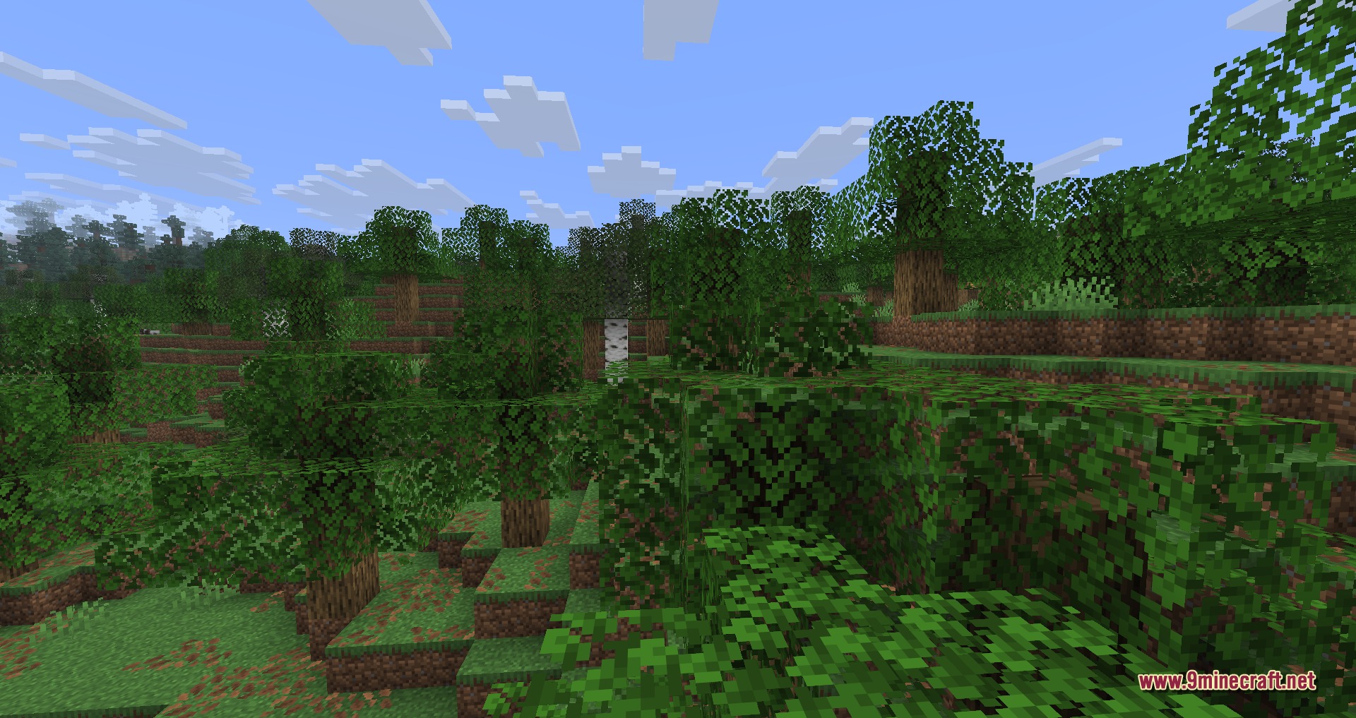 A dense forest landscape featuring many green leaf blocks and tall trees
