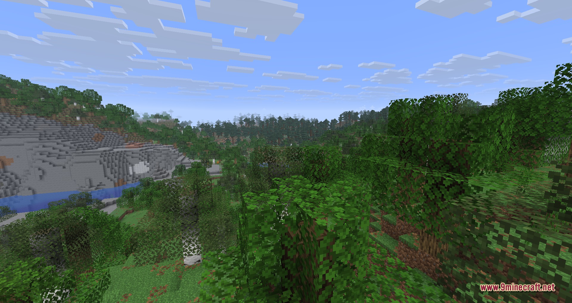 Dense forest in Minecraft with optimized leaf rendering for better frame rates