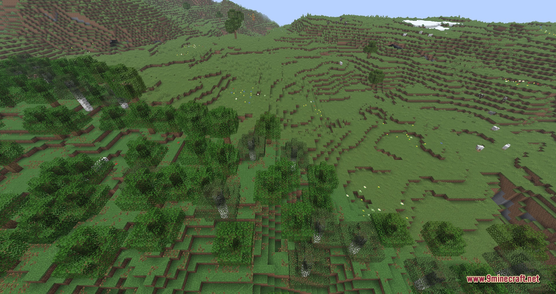 Aerial view of a grassy Minecraft biome with scattered trees and white sheep
