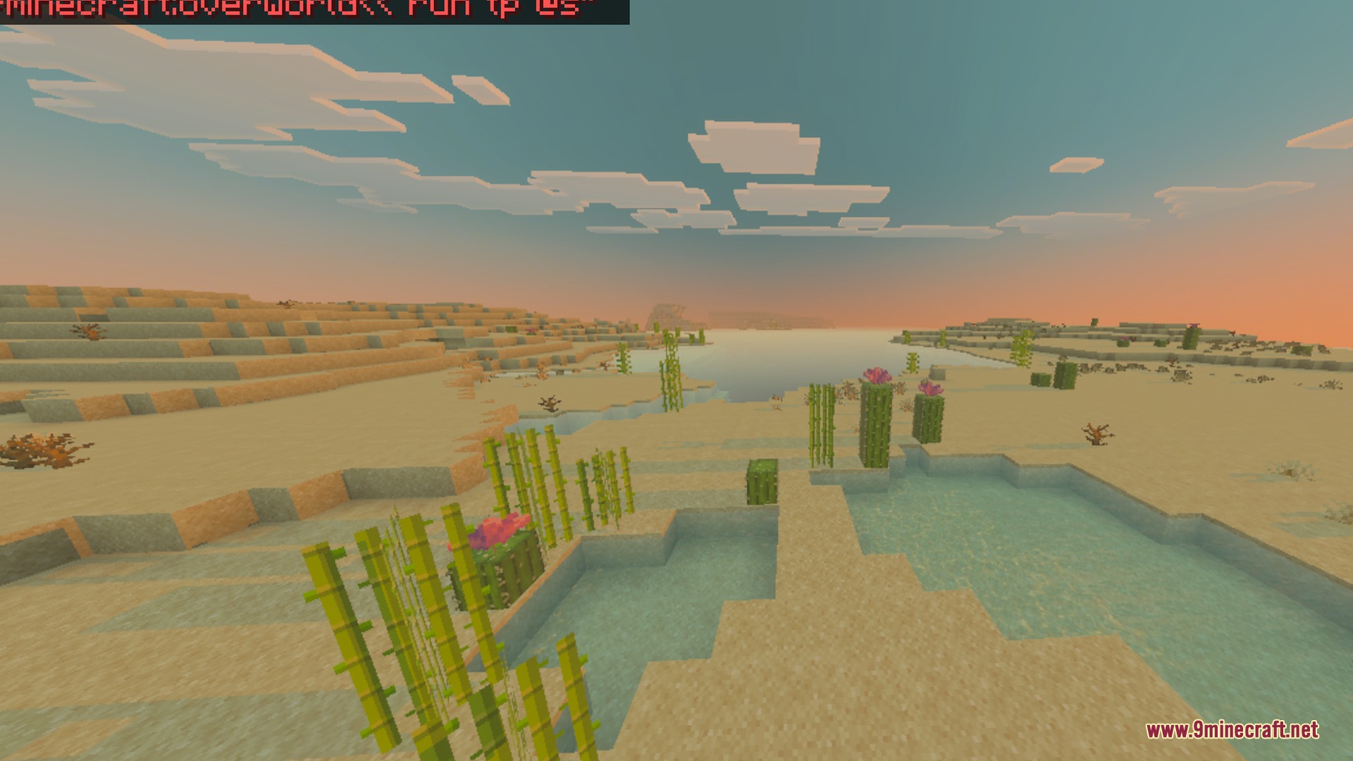 Desert landscape with sugar cane and cacti under a warm orange sunset sky