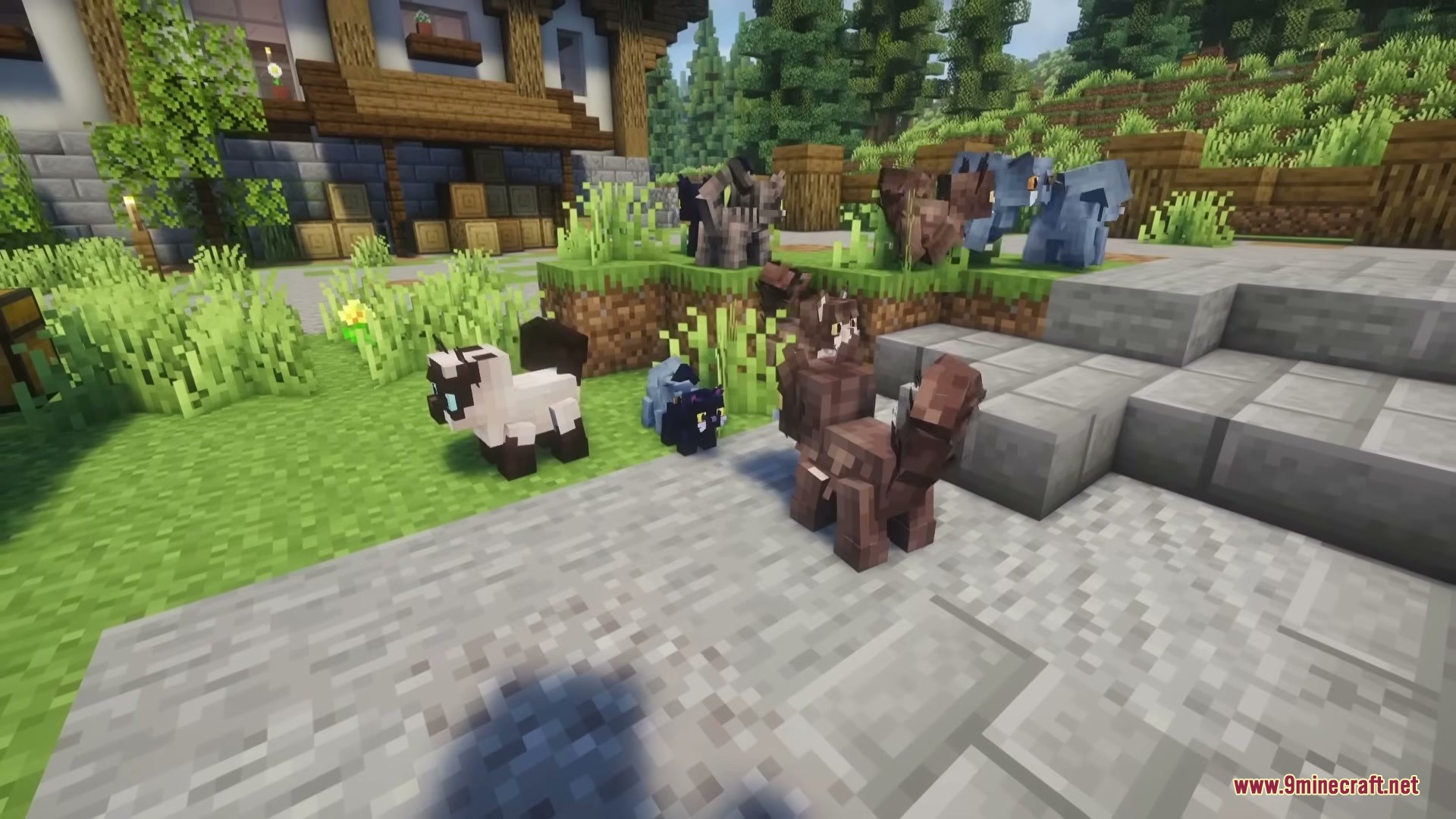 Cute Cats Mod Screenshot 2 Many adorable cats with unique colors playing in a village garden area