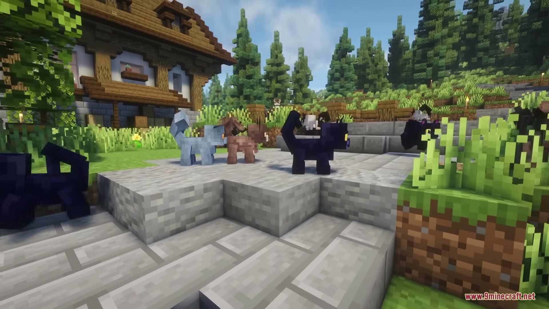 Cute Cats Mod Screenshot 4 Different colored cats standing on a stone walkway in a forest village