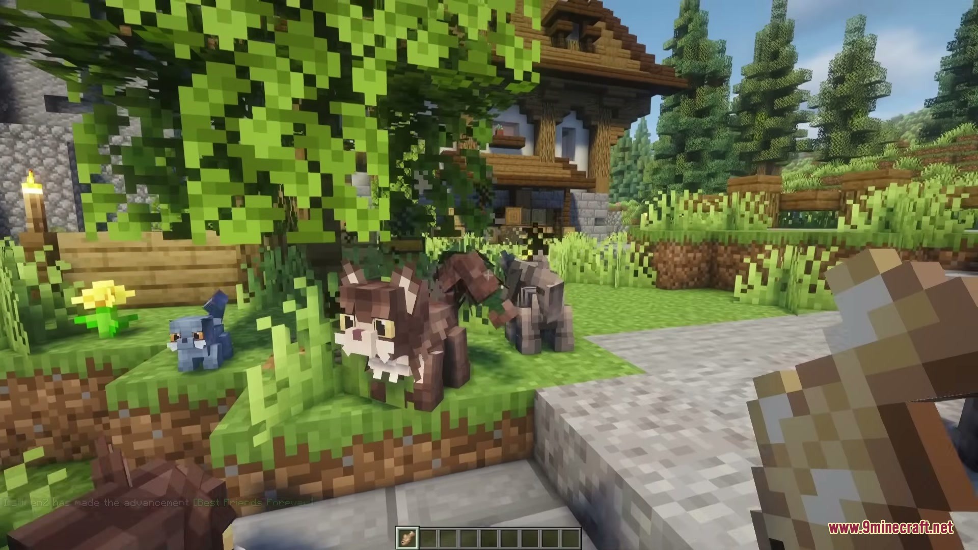 Cute Cats Mod Screenshot 6 Various colorful cats standing near a tree and a house in the sunlight