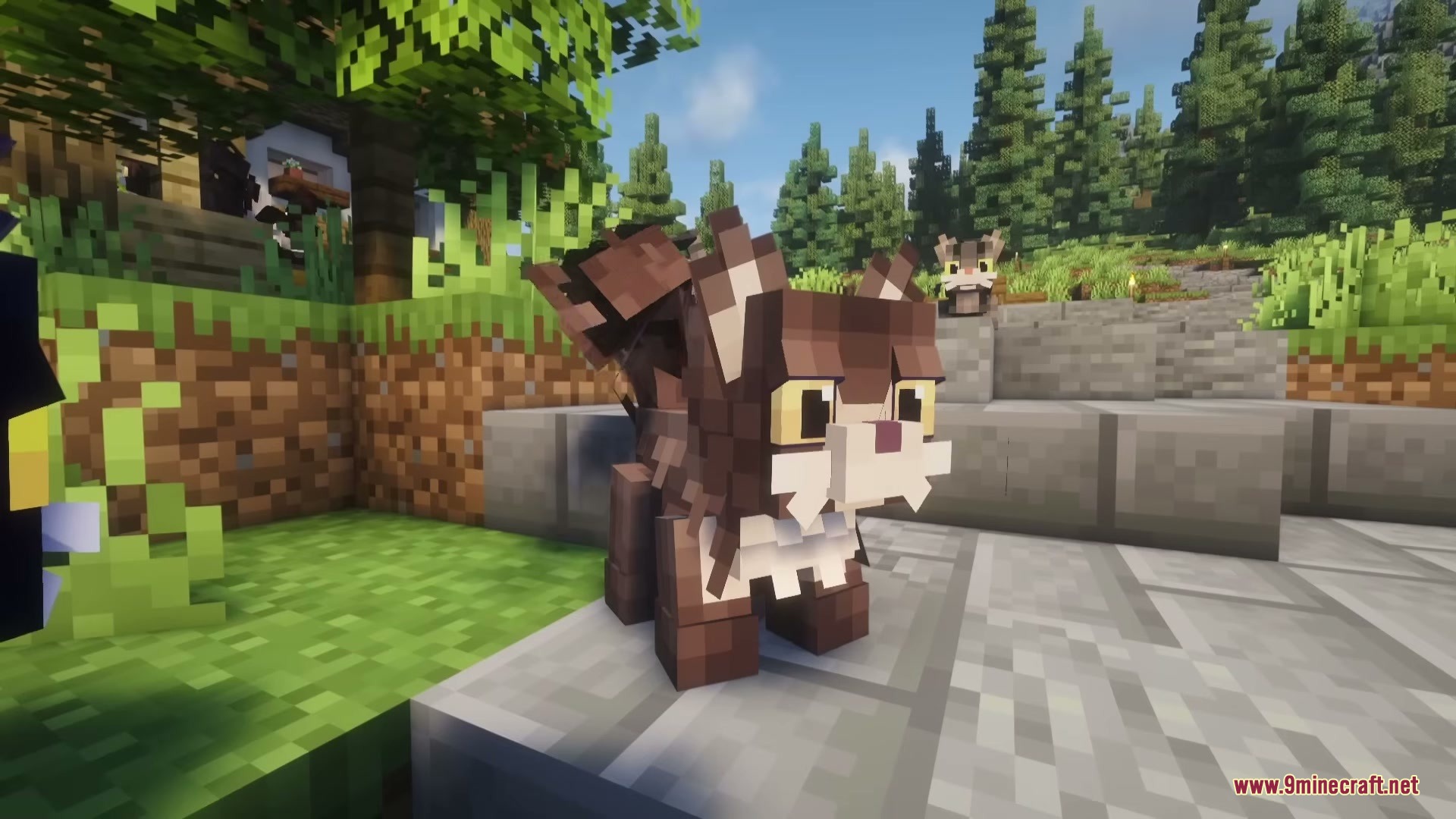Cute Cats Mod Screenshot 7 A cute brown and white cat sitting on stone blocks in a forest