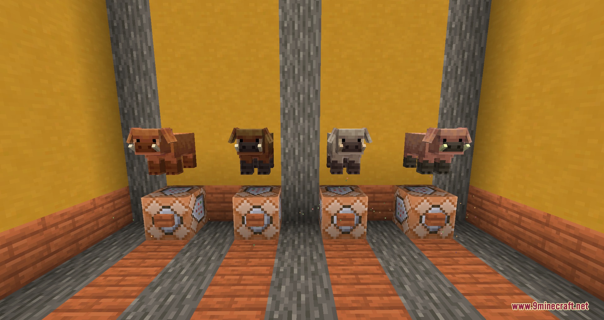 Cute Farm Animals Resource Pack Screenshot 1 Four pig variants with tusks floating above command blocks in a yellow room