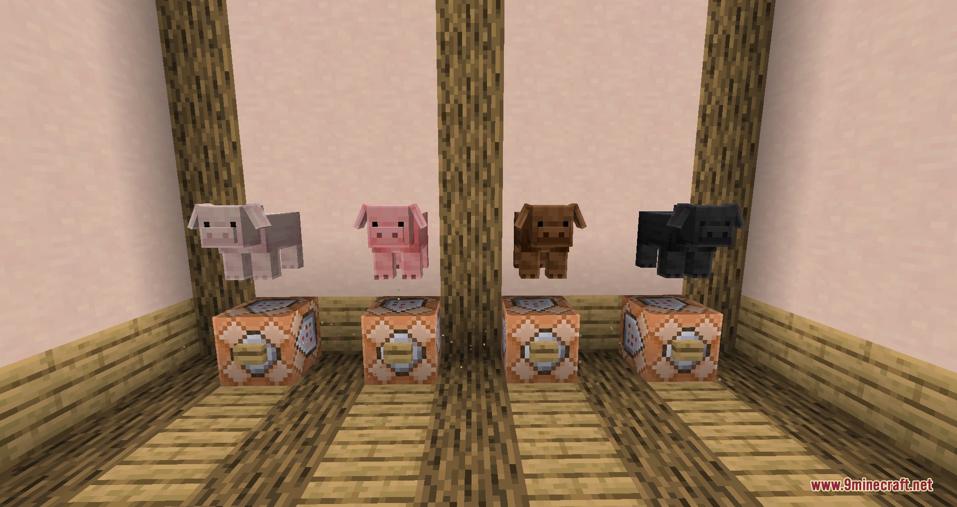 Cute Farm Animals Resource Pack Screenshot 2 Four unique pig variants floating above command blocks in a white room