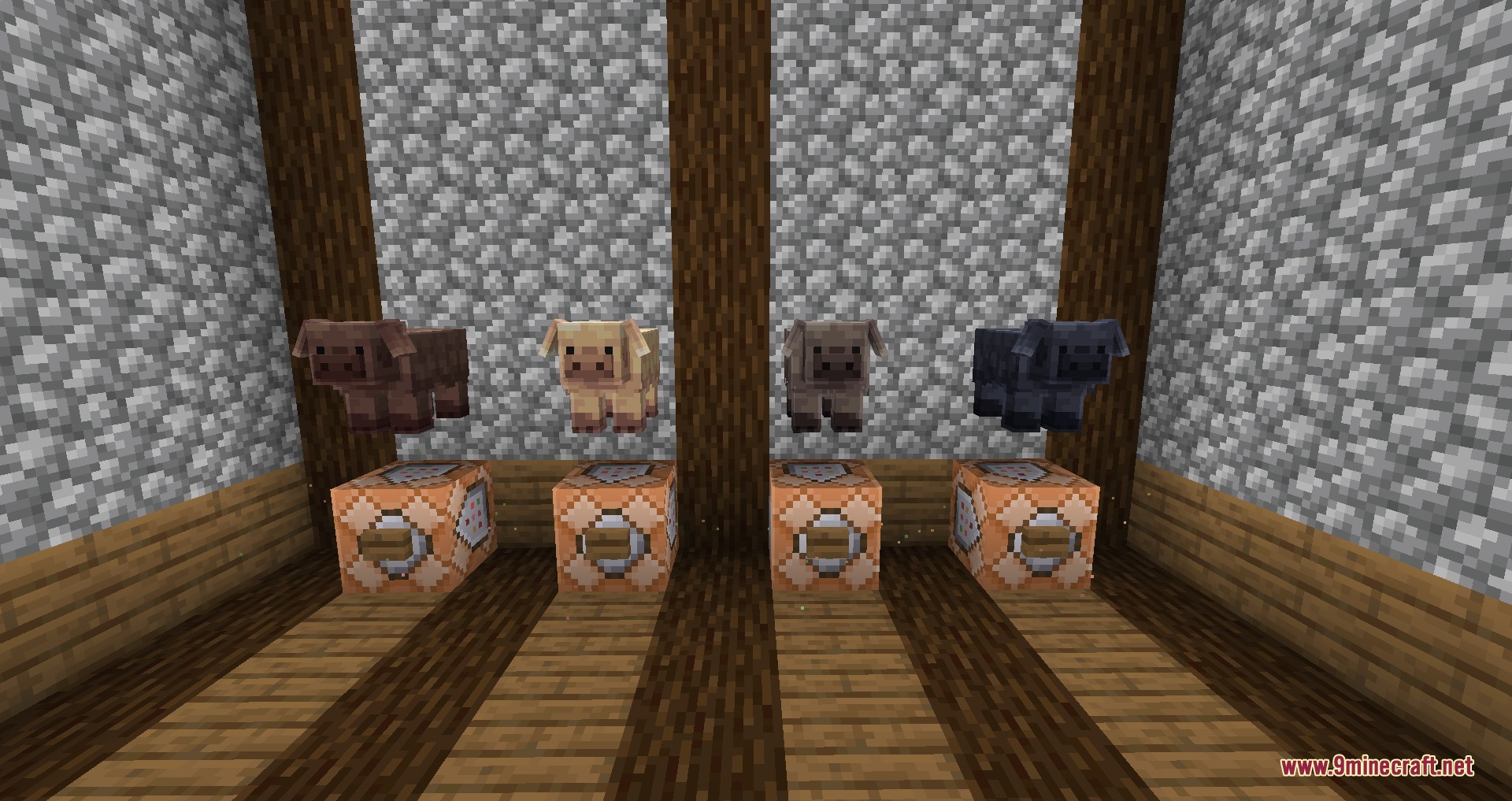 Cute Farm Animals Resource Pack Screenshot 3 Four different pig variants floating above command blocks in a cobblestone room
