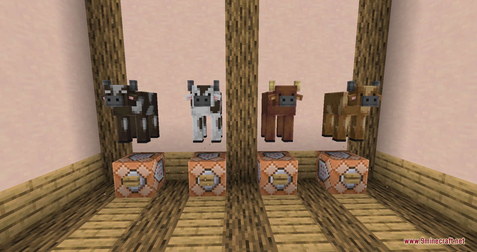 Cute Farm Animals Resource Pack Screenshot 8 Various cow models with small ears floating above command blocks in white room