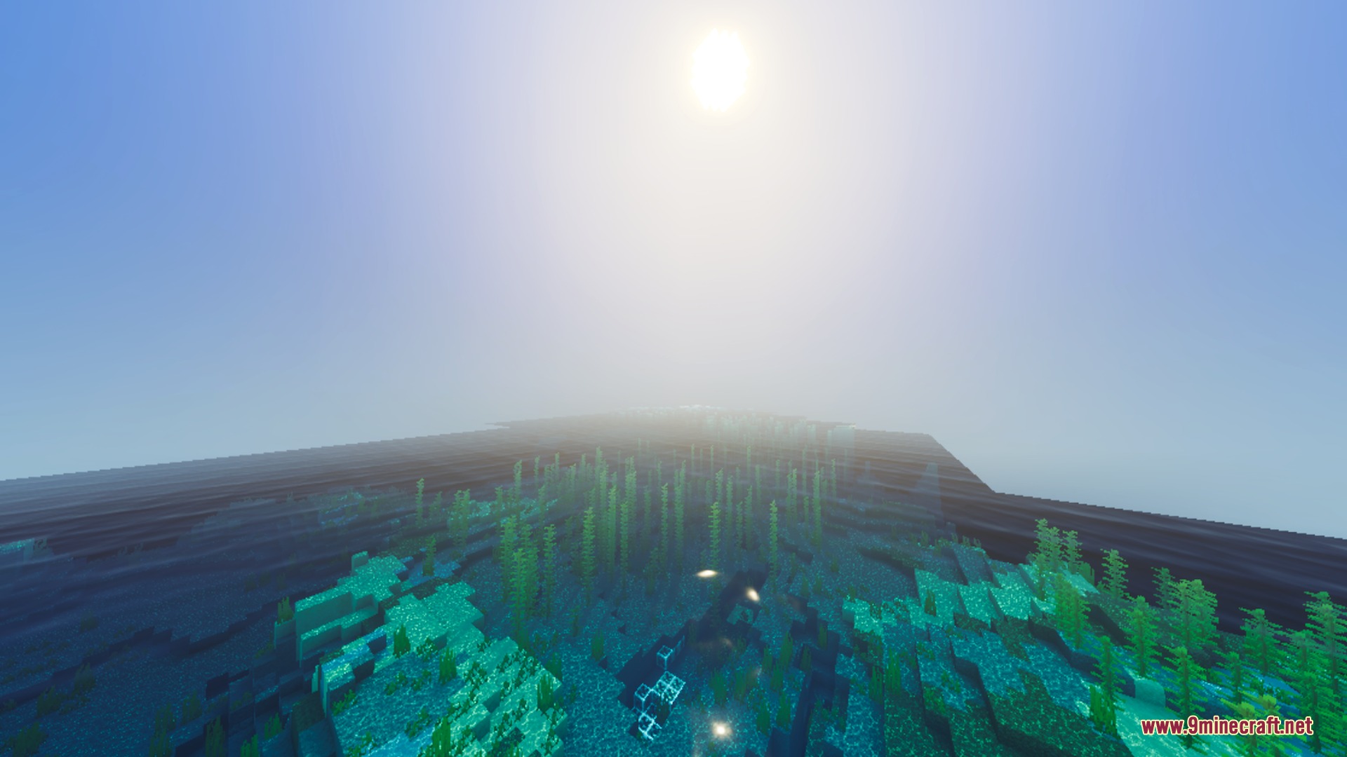 Cyrus Shaders Screenshot 1 Sunlight filters through the water surface onto a lush underwater kelp forest