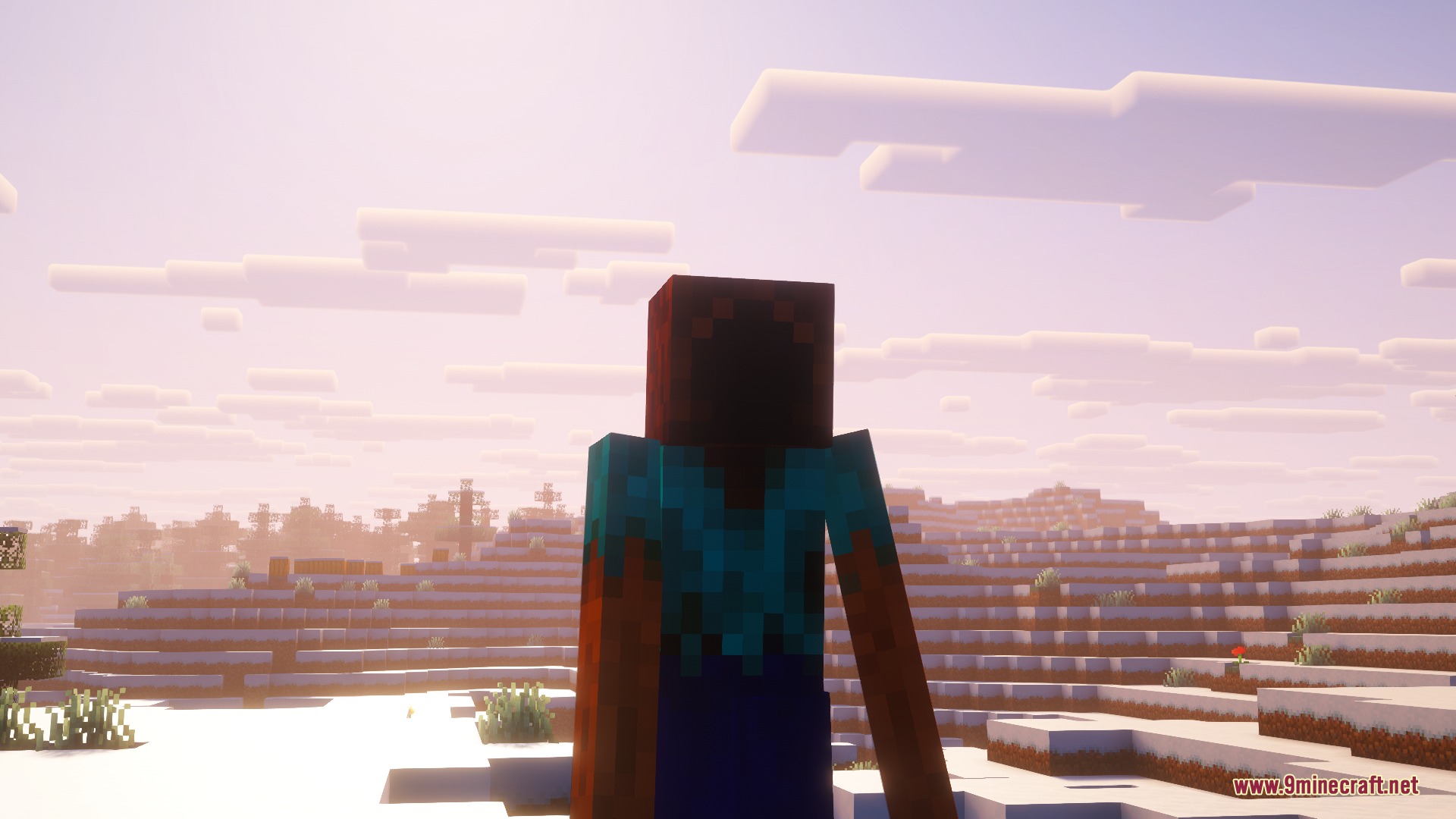 Decade of the Damned Mod Screenshot 3 Hollow Steve stands in a snowy landscape under a pale morning sky
