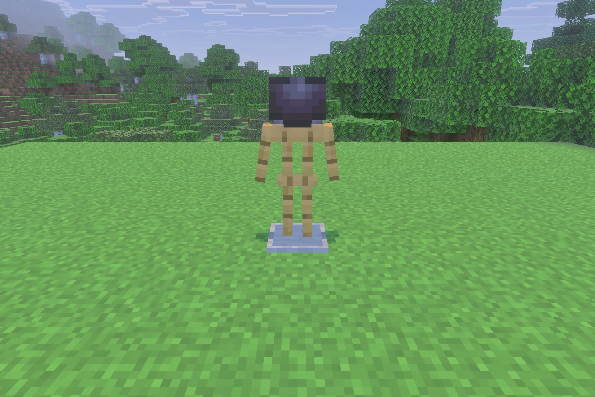 Decayed Reality V2.1 - Wither Storm Replica Addon Screenshot 3 A Minecraft armor stand wearing a dark helmet on a grassy field