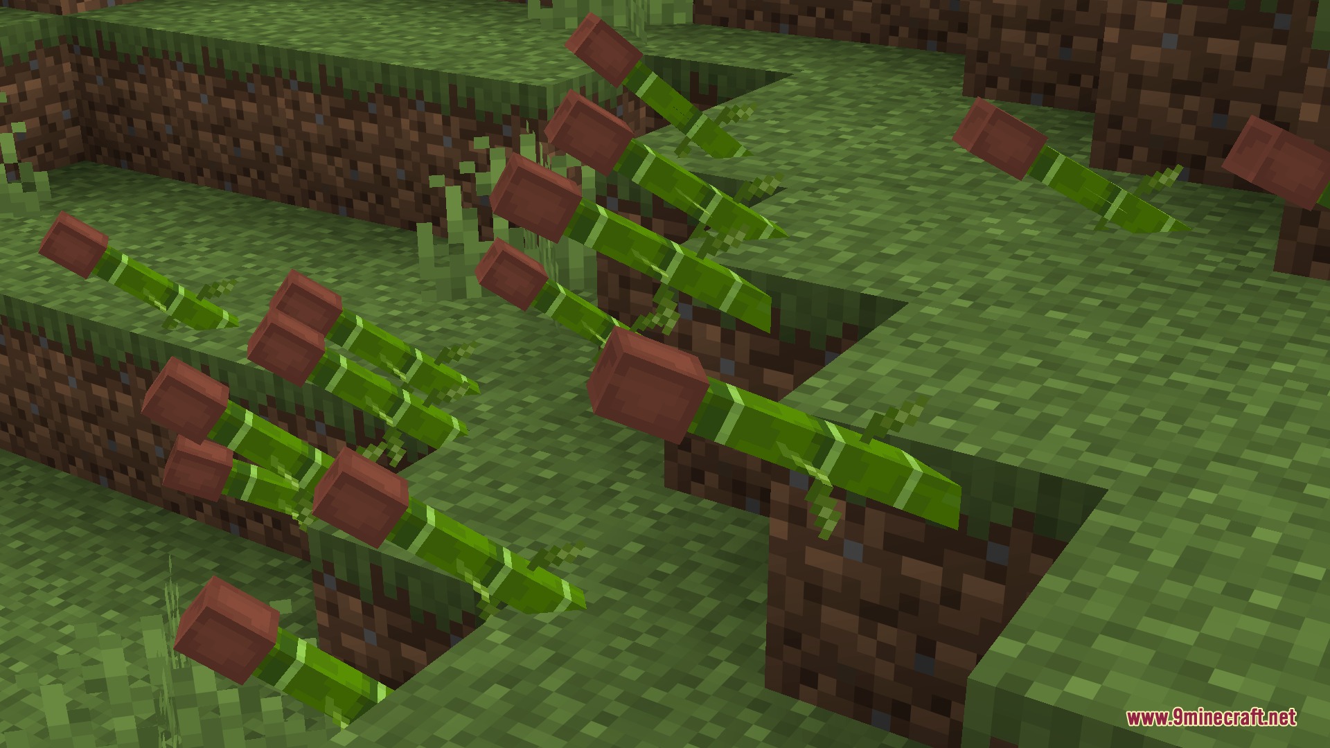 Deltarune Flowery JARONA Resource Pack Screenshot 1 Green bamboo stalks with red bases stuck in the grassy ground