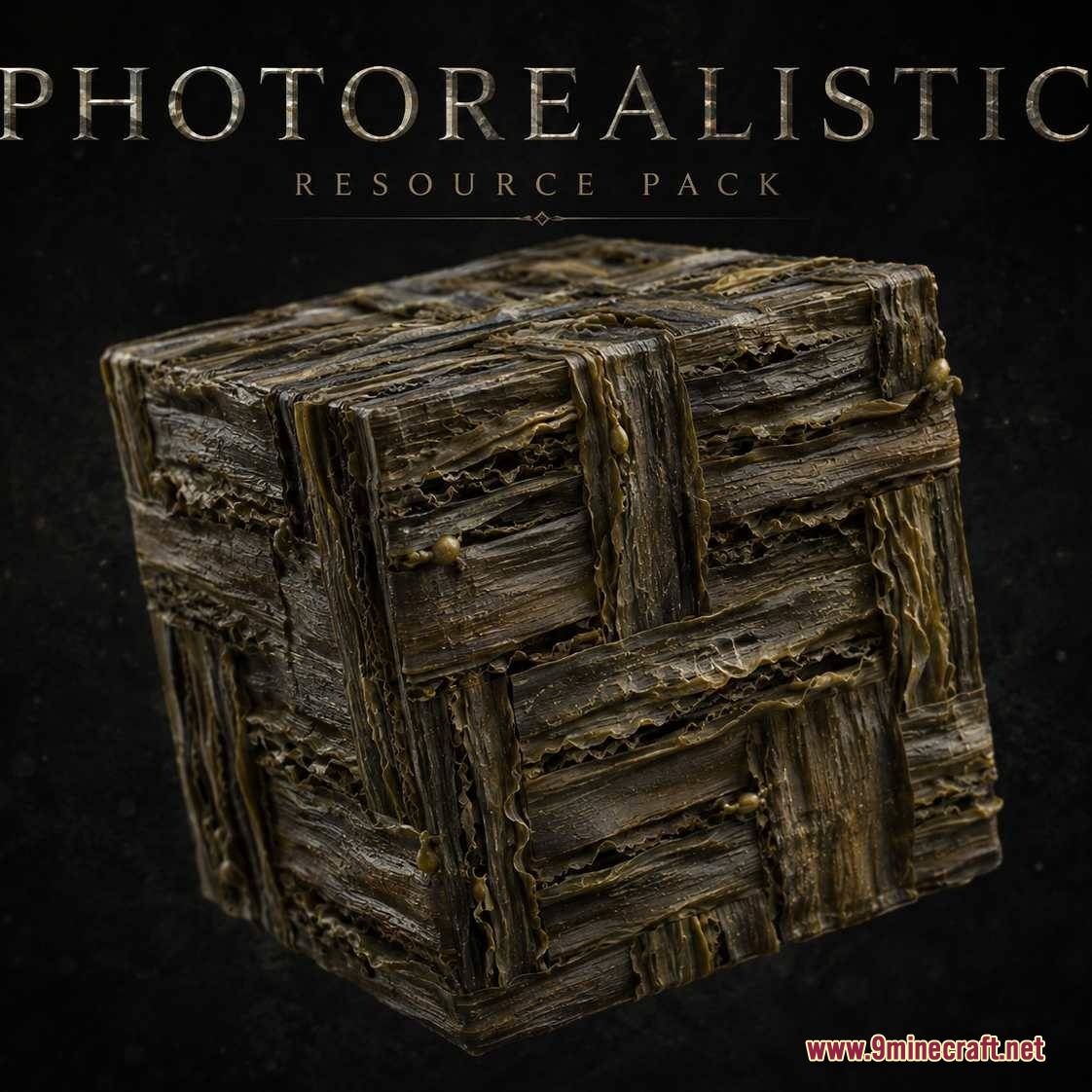 Digital Dreams Photorealistic Ressource Pack Resource Pack Screenshot 2 Detailed block featuring a complex woven bark and organic fiber texture