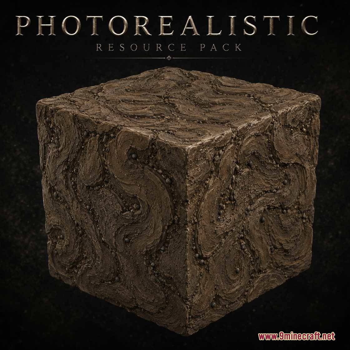 Digital Dreams Photorealistic Ressource Pack Resource Pack Screenshot 3 A photorealistic dirt block with intricate swirling patterns and rough surface textures