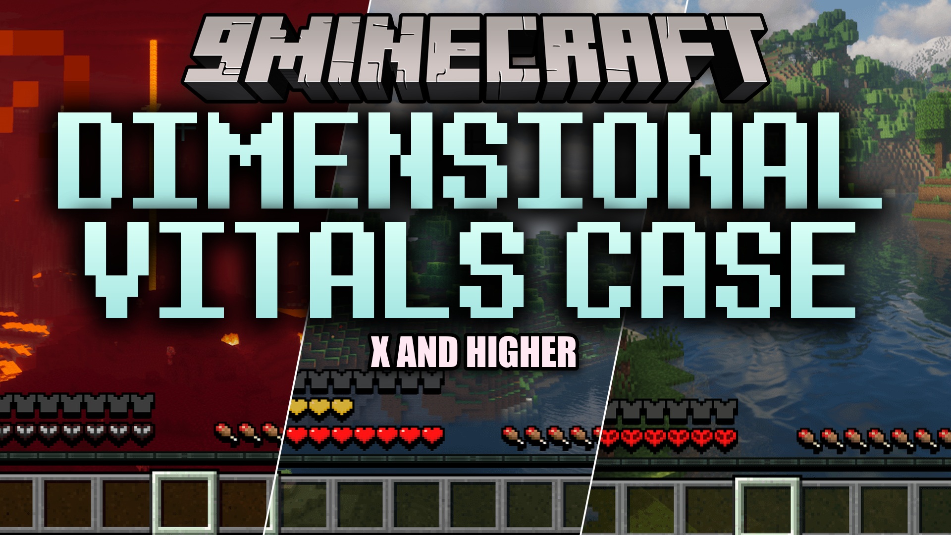 Dimensional Vitals Case Resource Pack